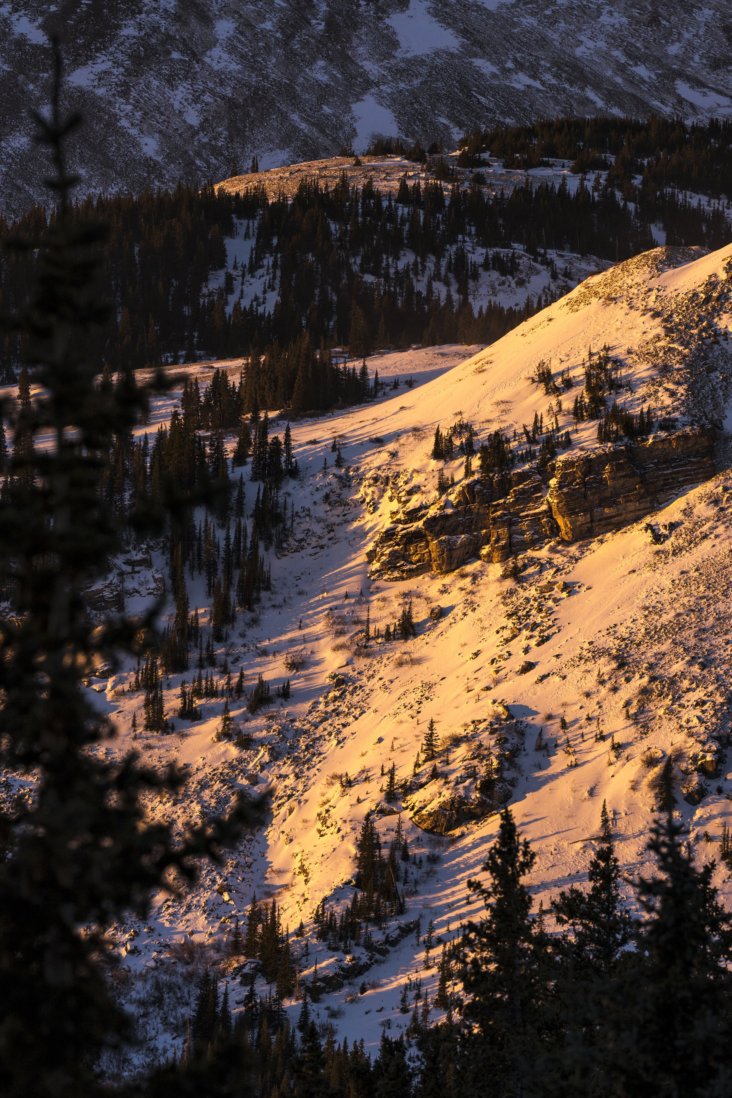 Father Dyer Mountain - Detail