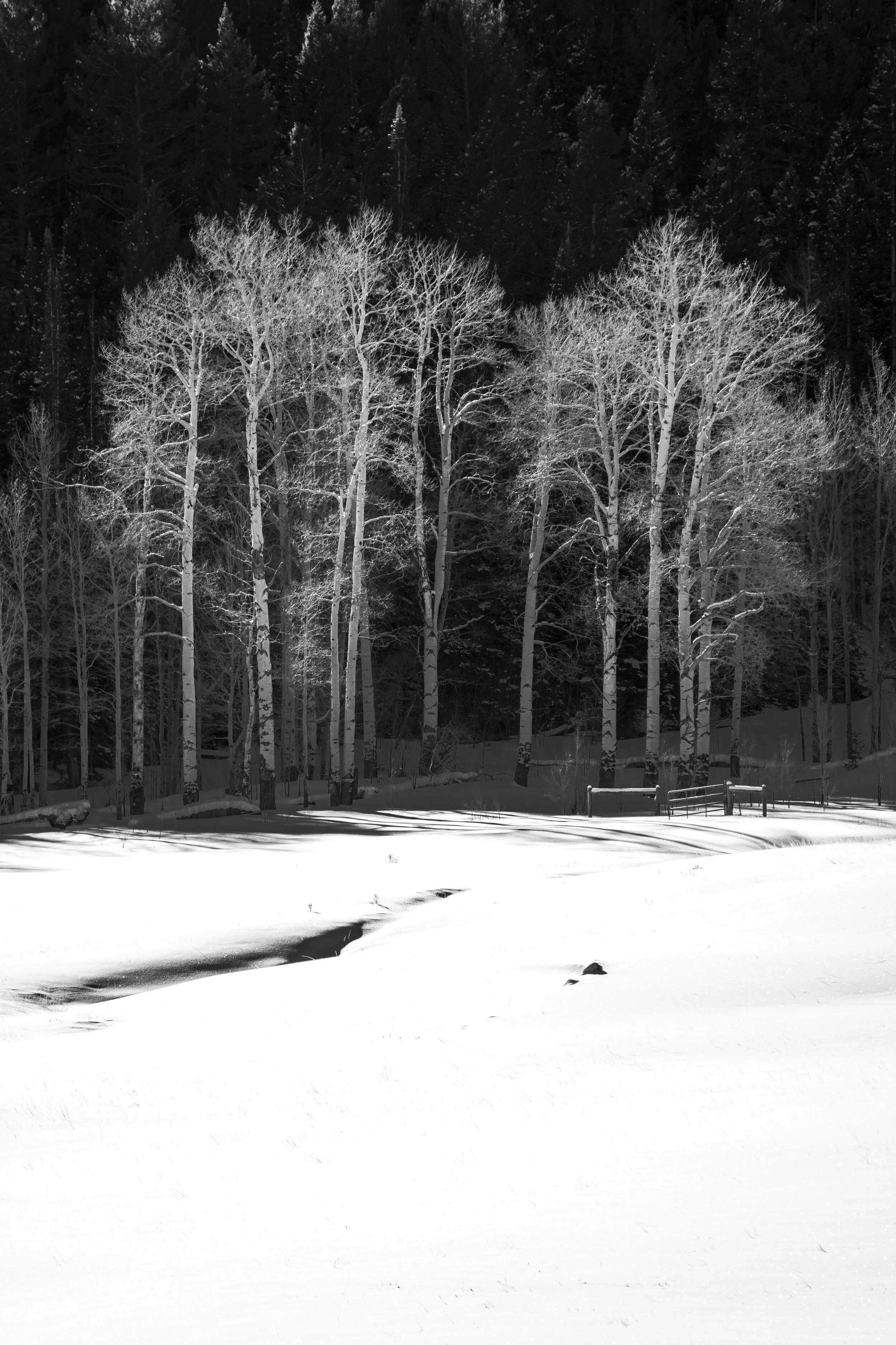 _DSC7550.JPG