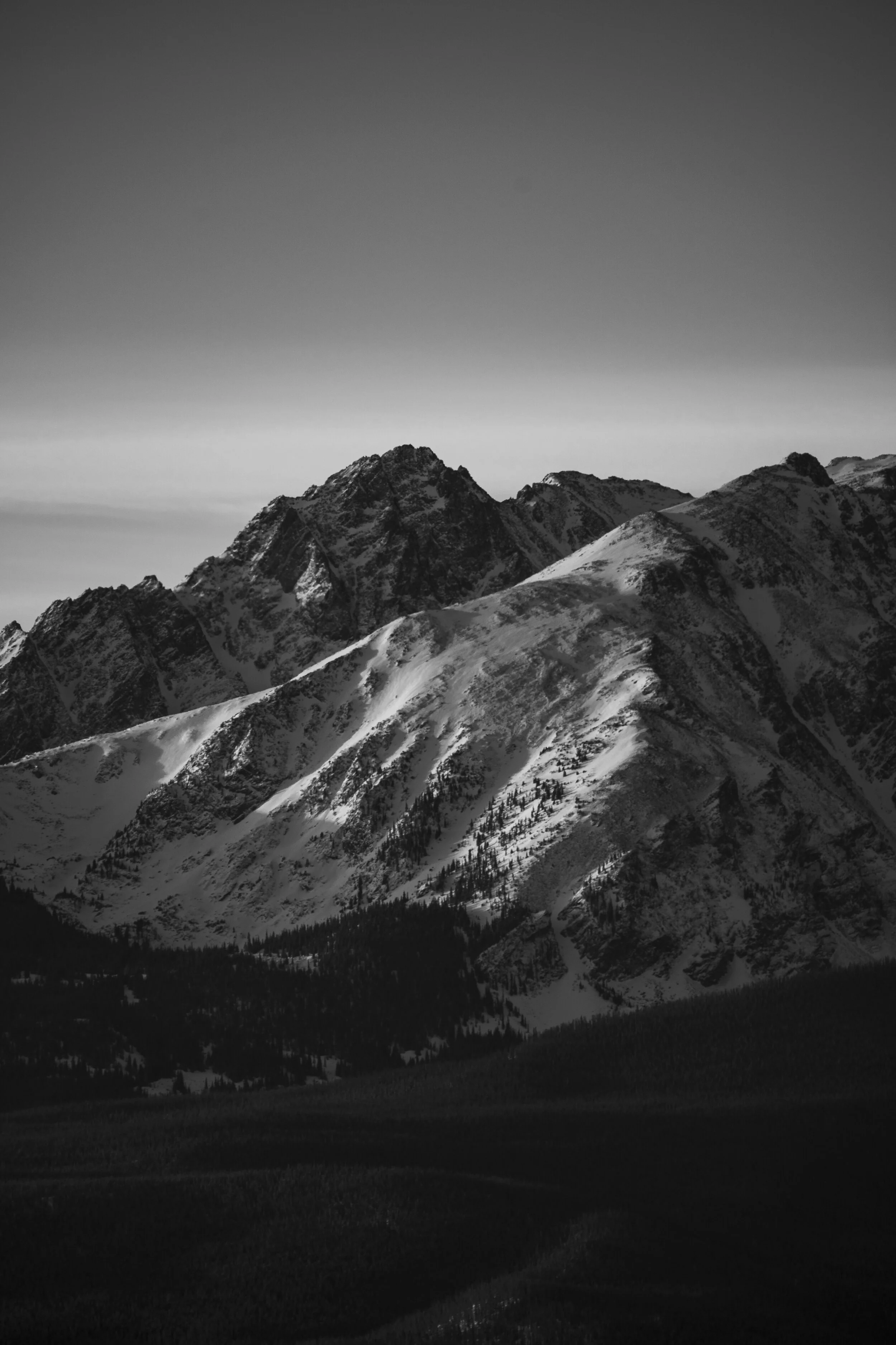 A volume of winter #1