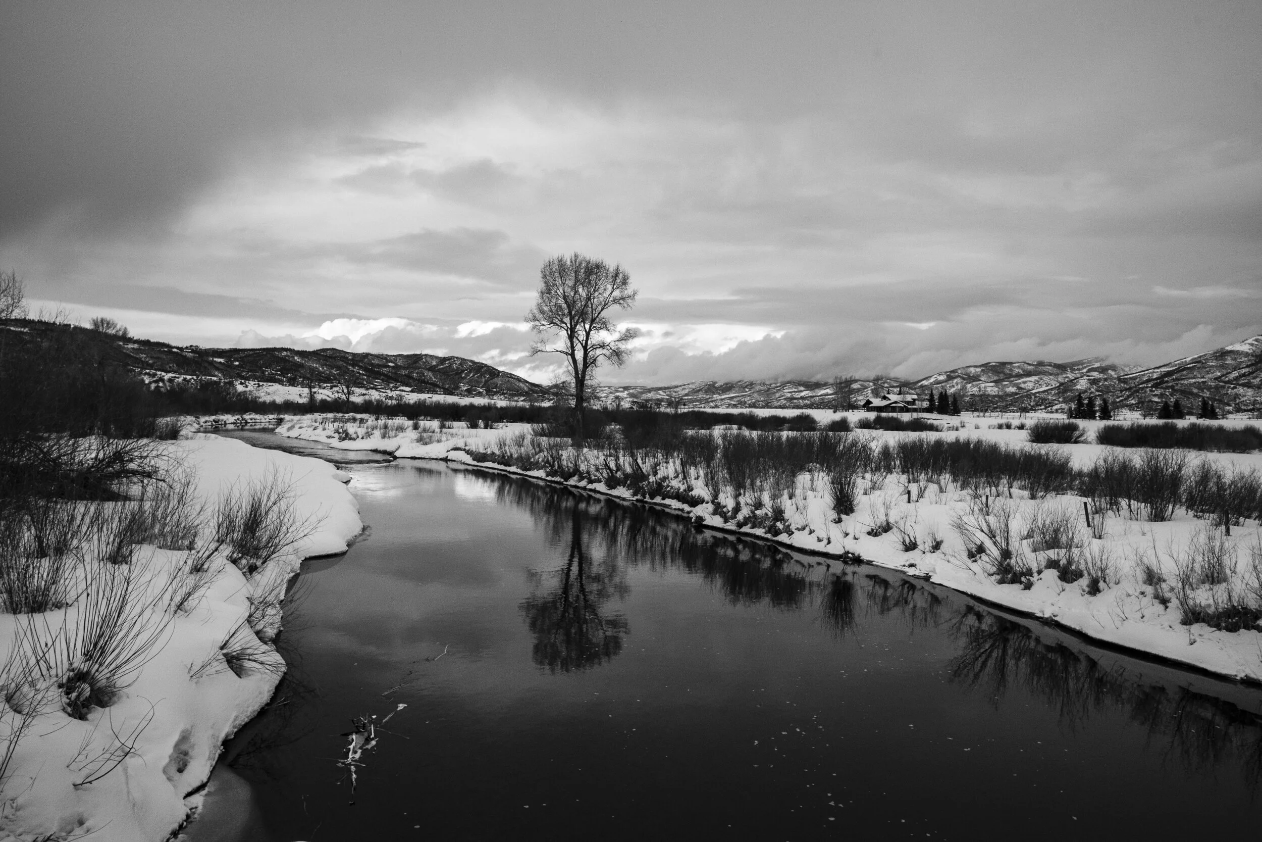 Yampa River - Winter Study VII -  2021