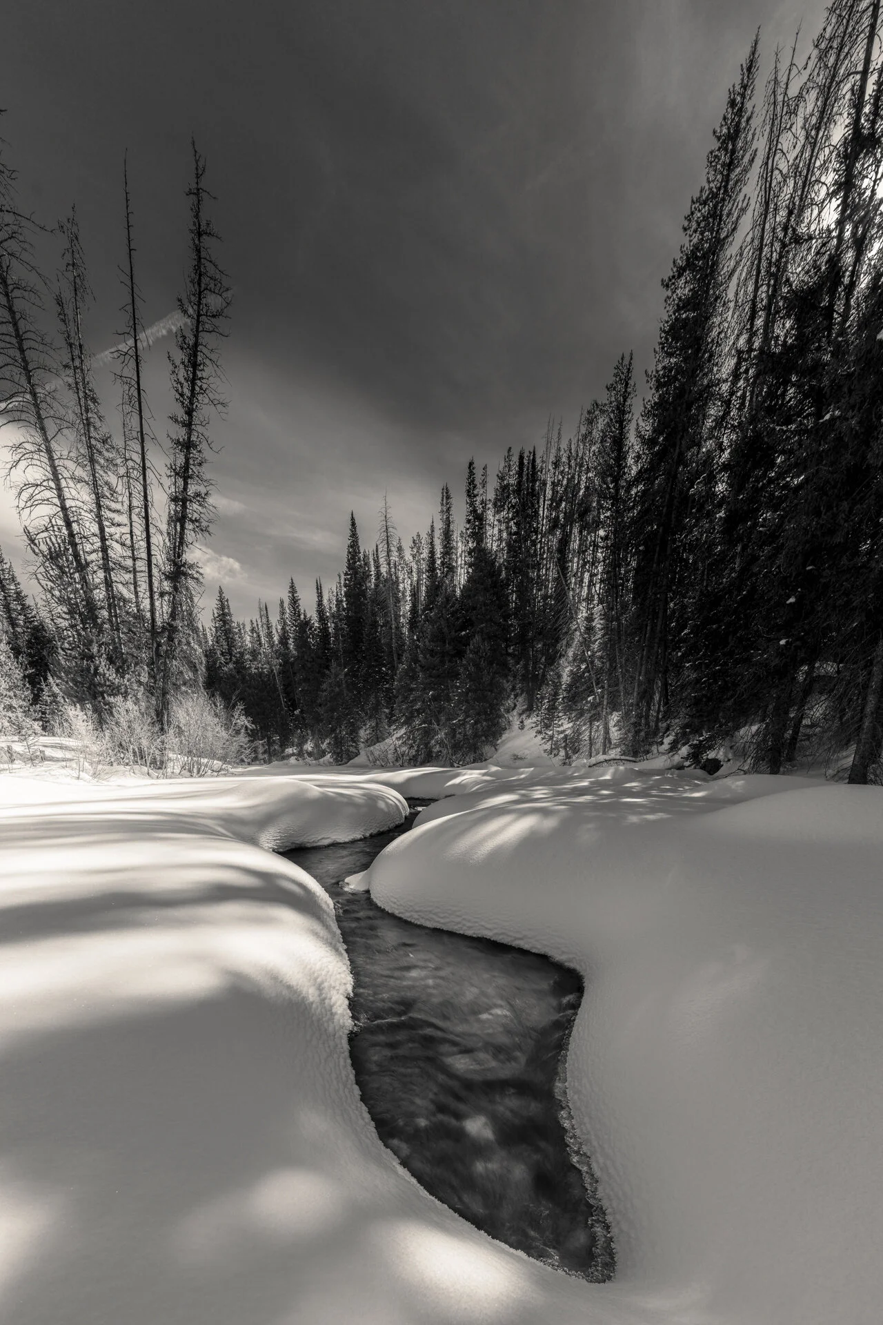 Anatomy of a Composition - What Lies Beneath