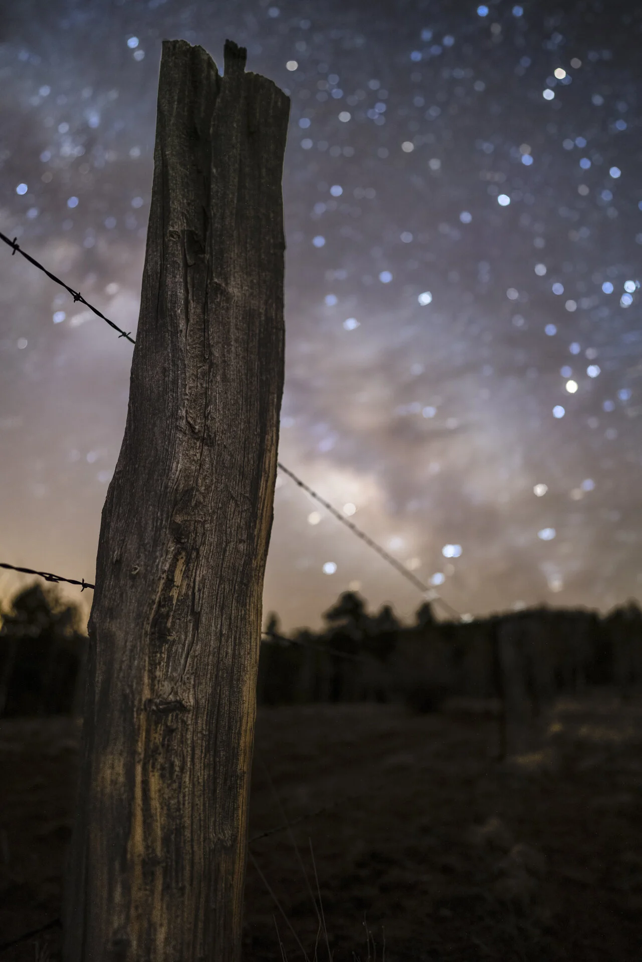 Anatomy of a Composition - Galactic Host 