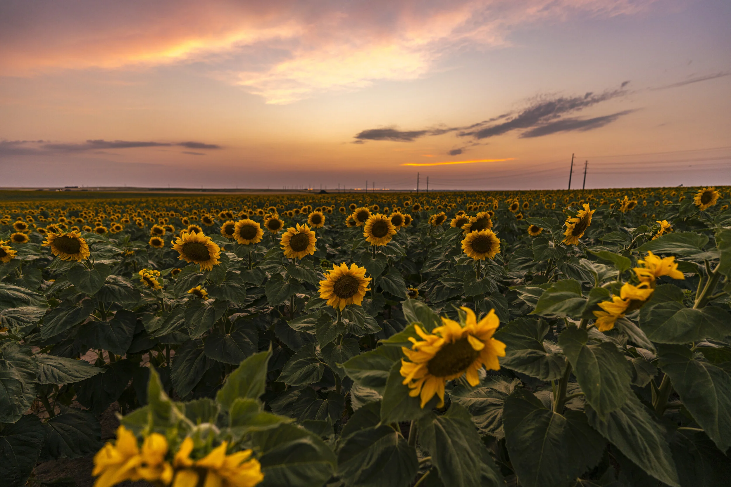 Anatomy of a  Composition - Stretching to Grow