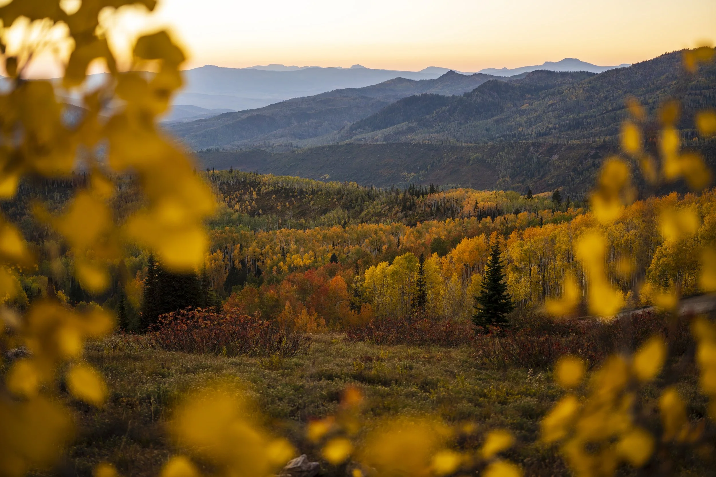 Anatomy of a Composition - Finding Fall (Buffalo Pass II)