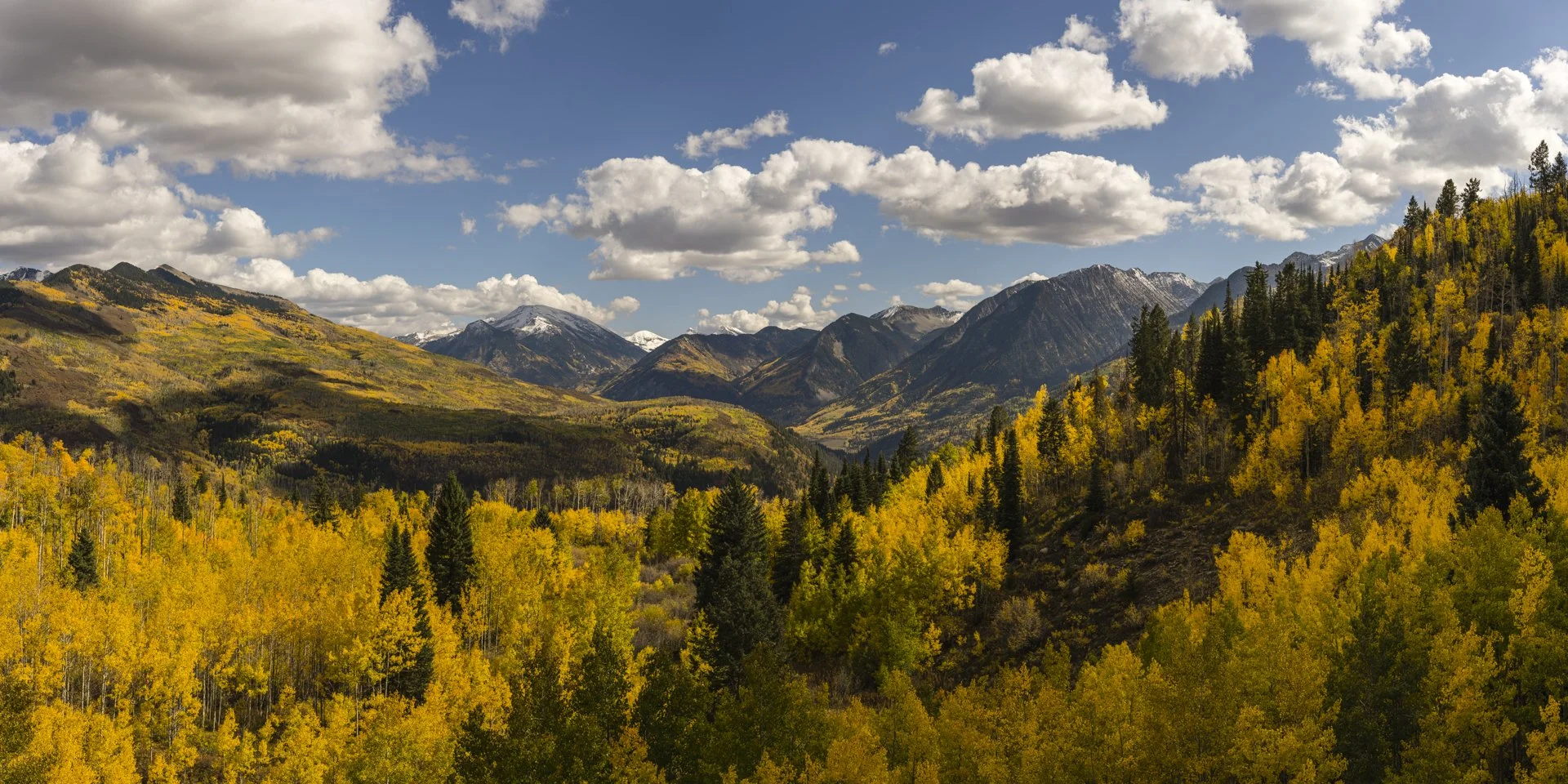 Finding Fall XXVIII