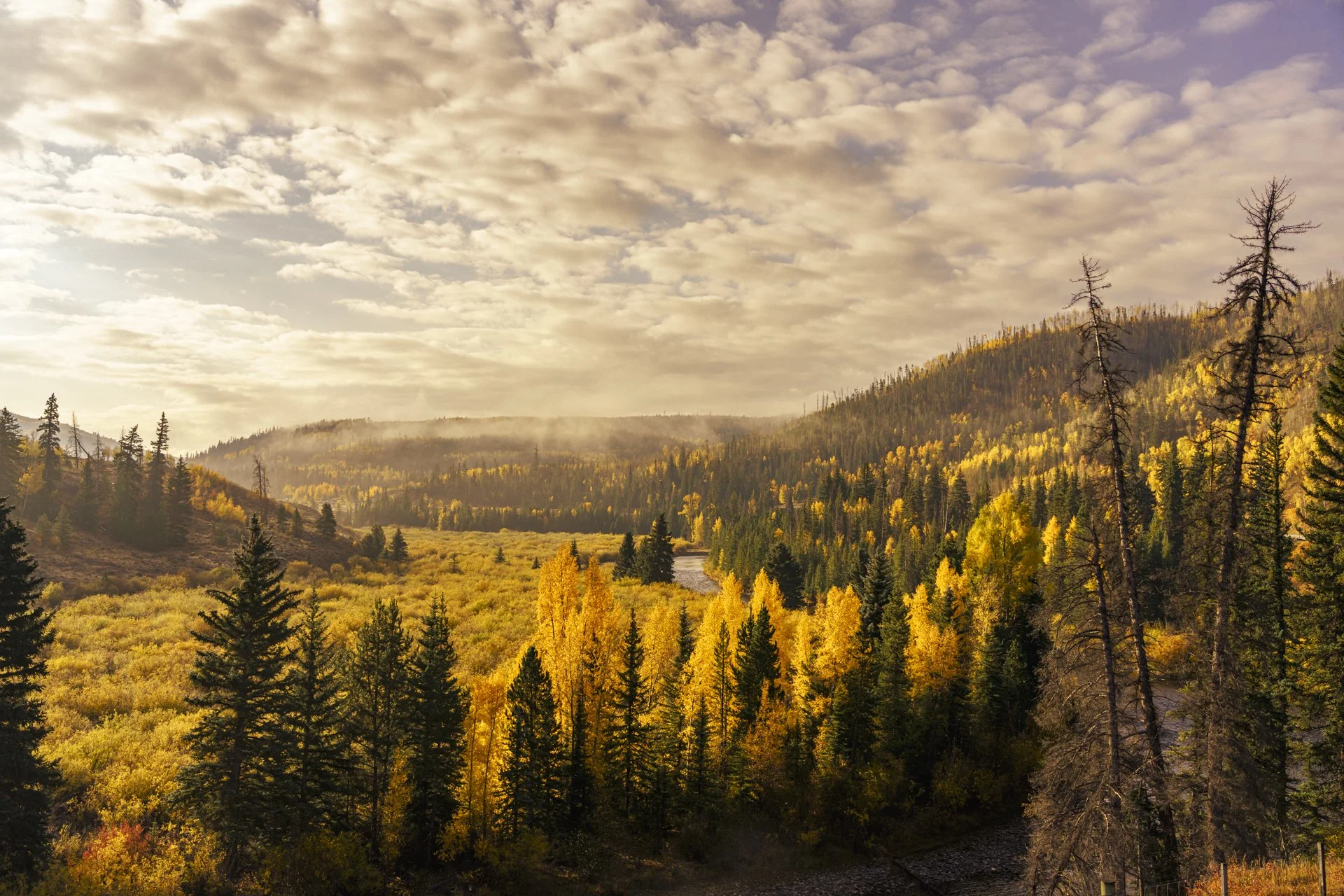 Anatomy of a Composition - Finding Fall (Blue River) 