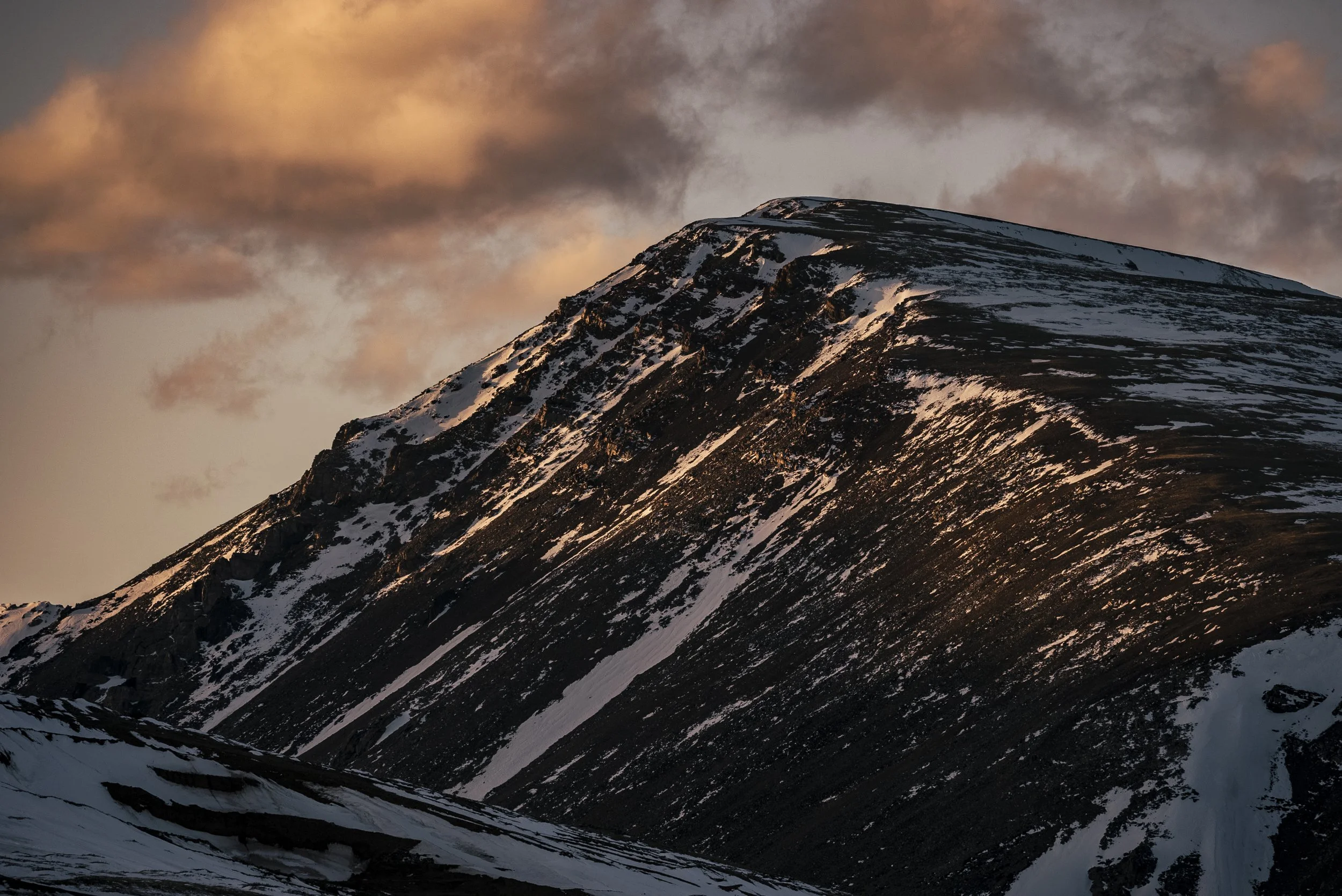 Mosquito Range - April Awakening