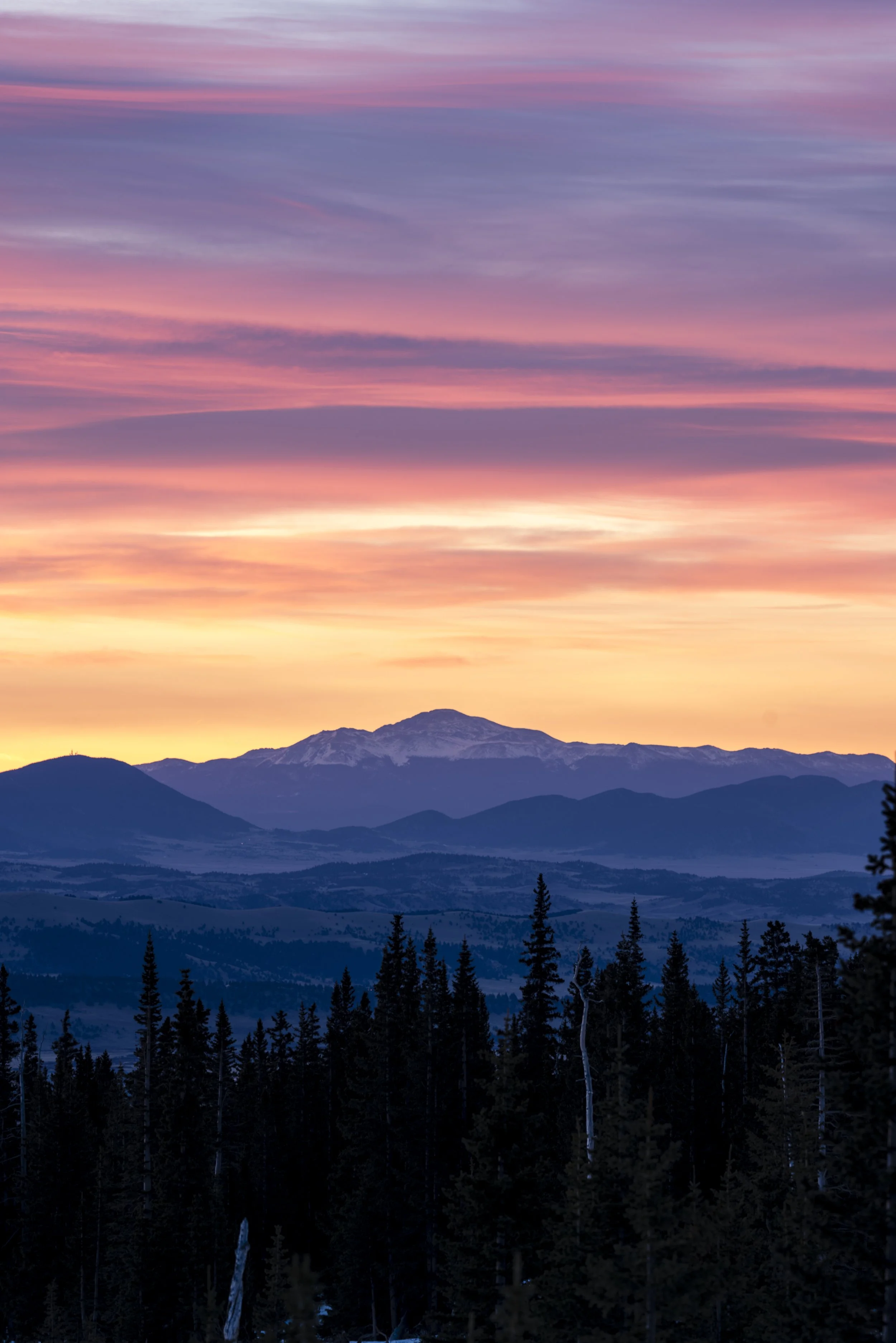 Mosquito Range - April Awakening