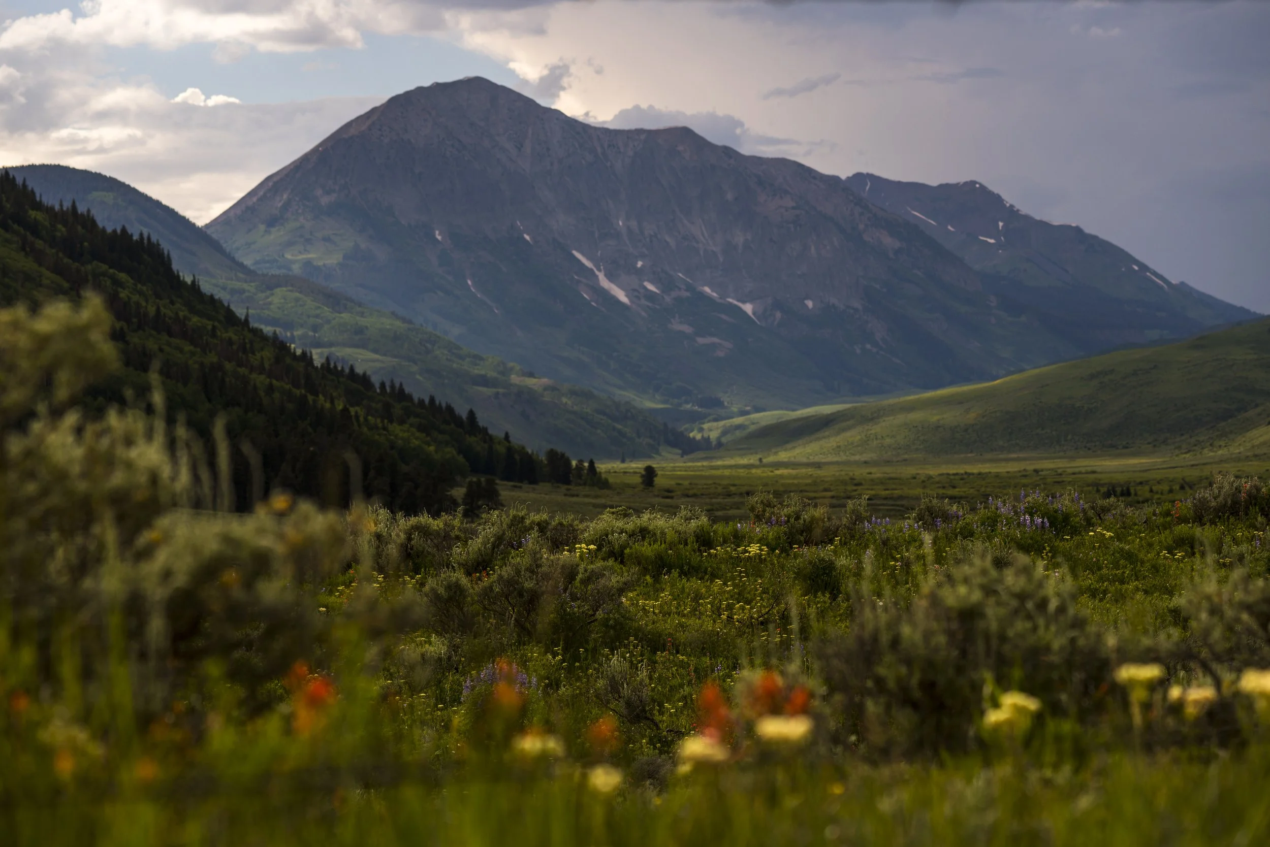 Anatomy of a Composition - knowing what we don't know