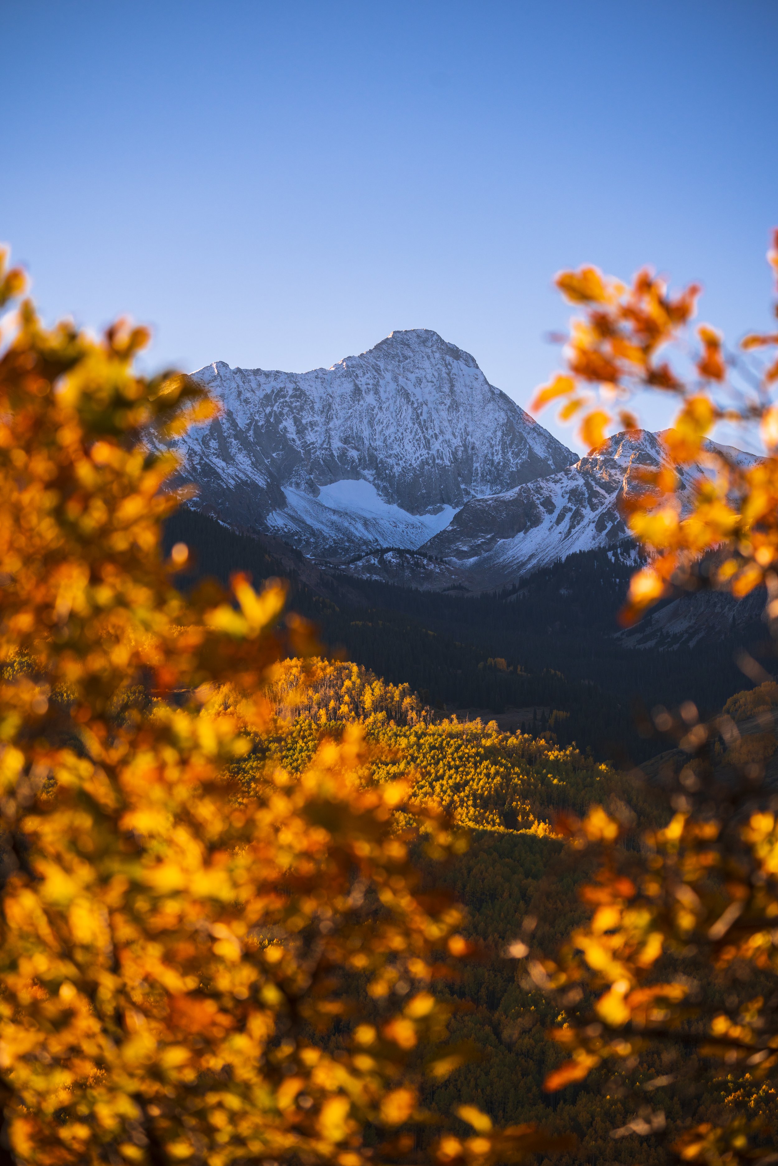 Fall Color Tour 2022 - Capital Creek