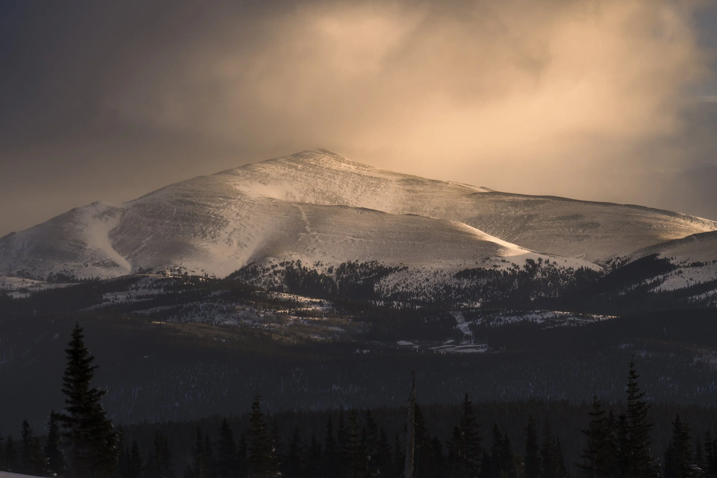 Veiled - in life and in story