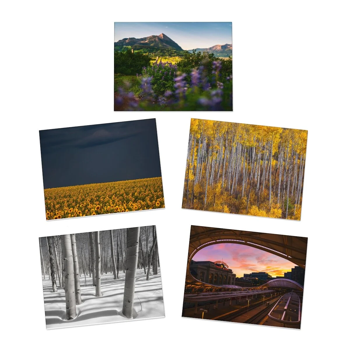 e615d712c78e45d0bb2ce23585c6812d