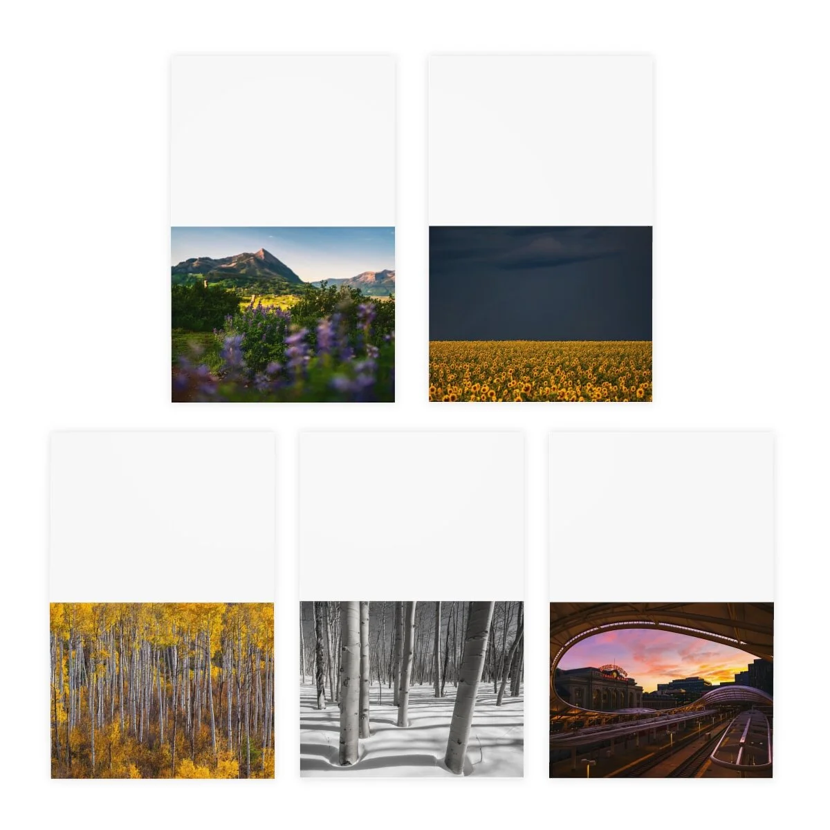 c9e2a270955363420a497dd68c198b29