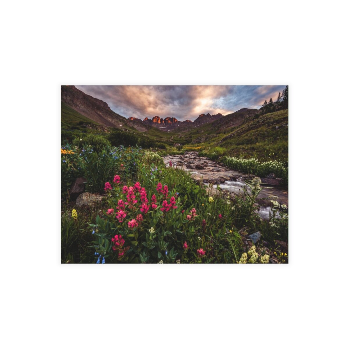 abf3732991976c89315a367a33e33e0f