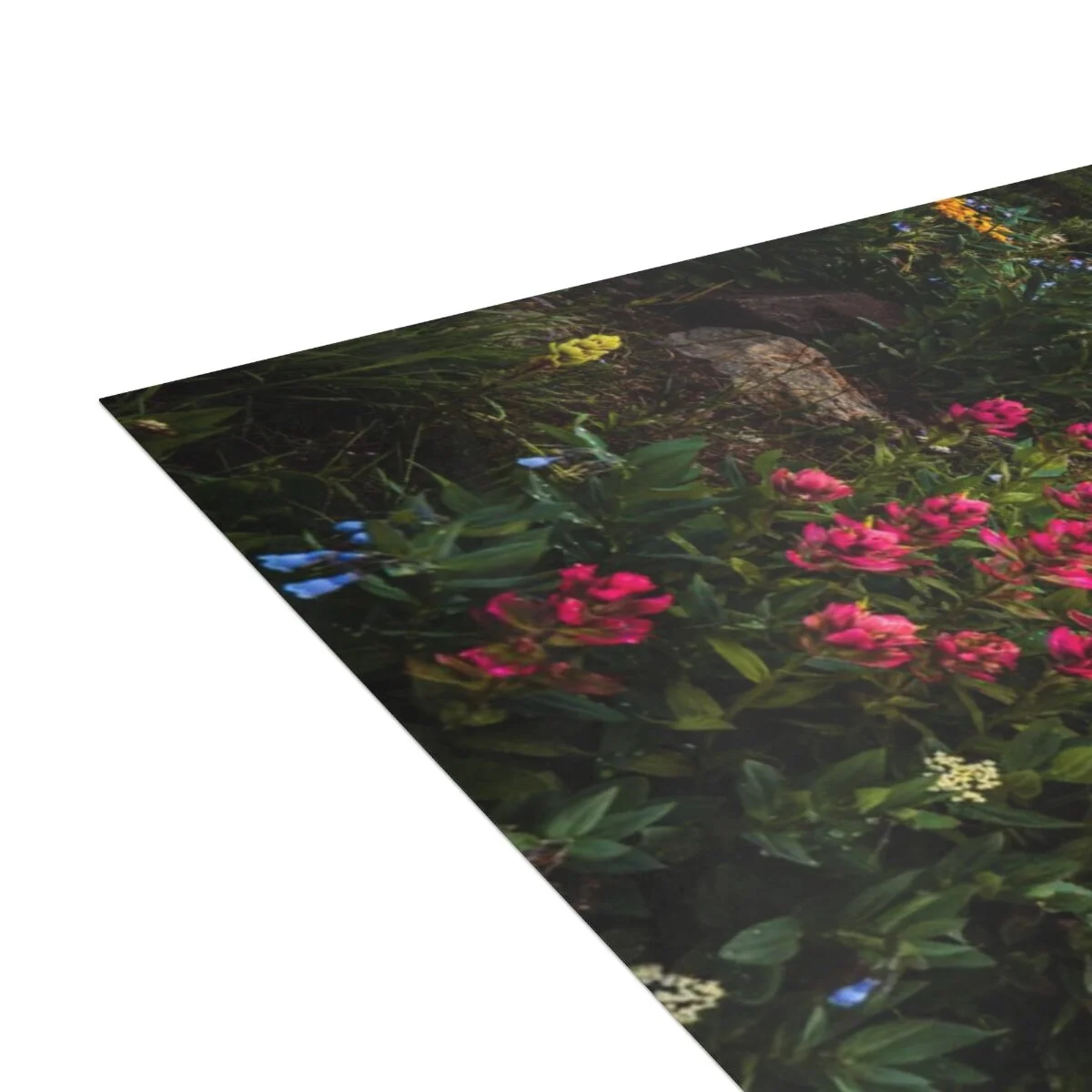 6154be67d151af7fca4b4695db7d62f7