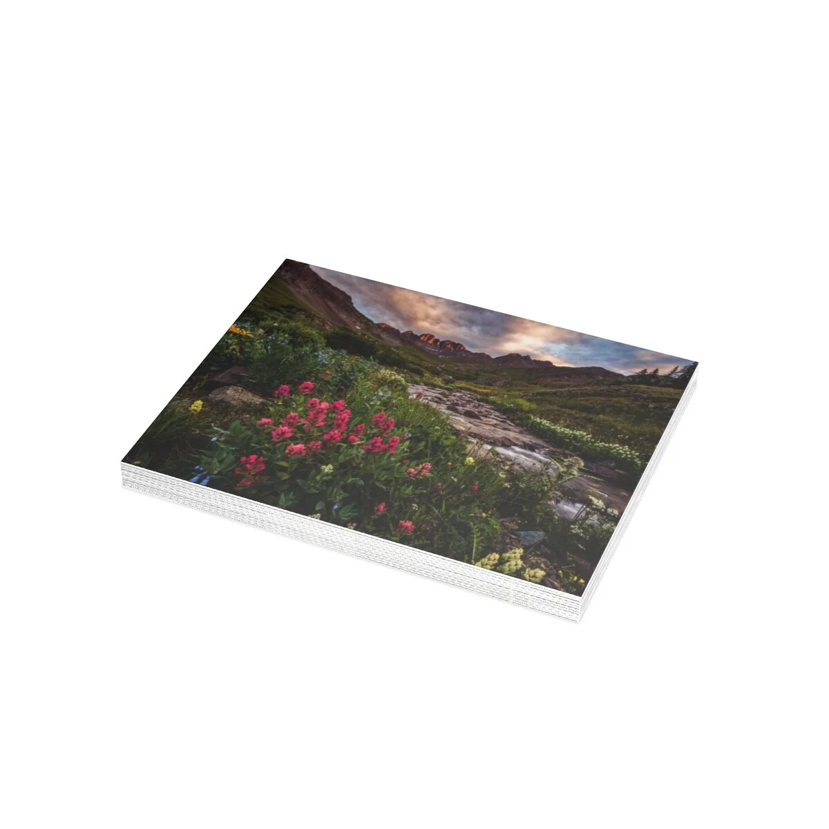 e1653da3dcfa35350f0cf2270a8e4d2a