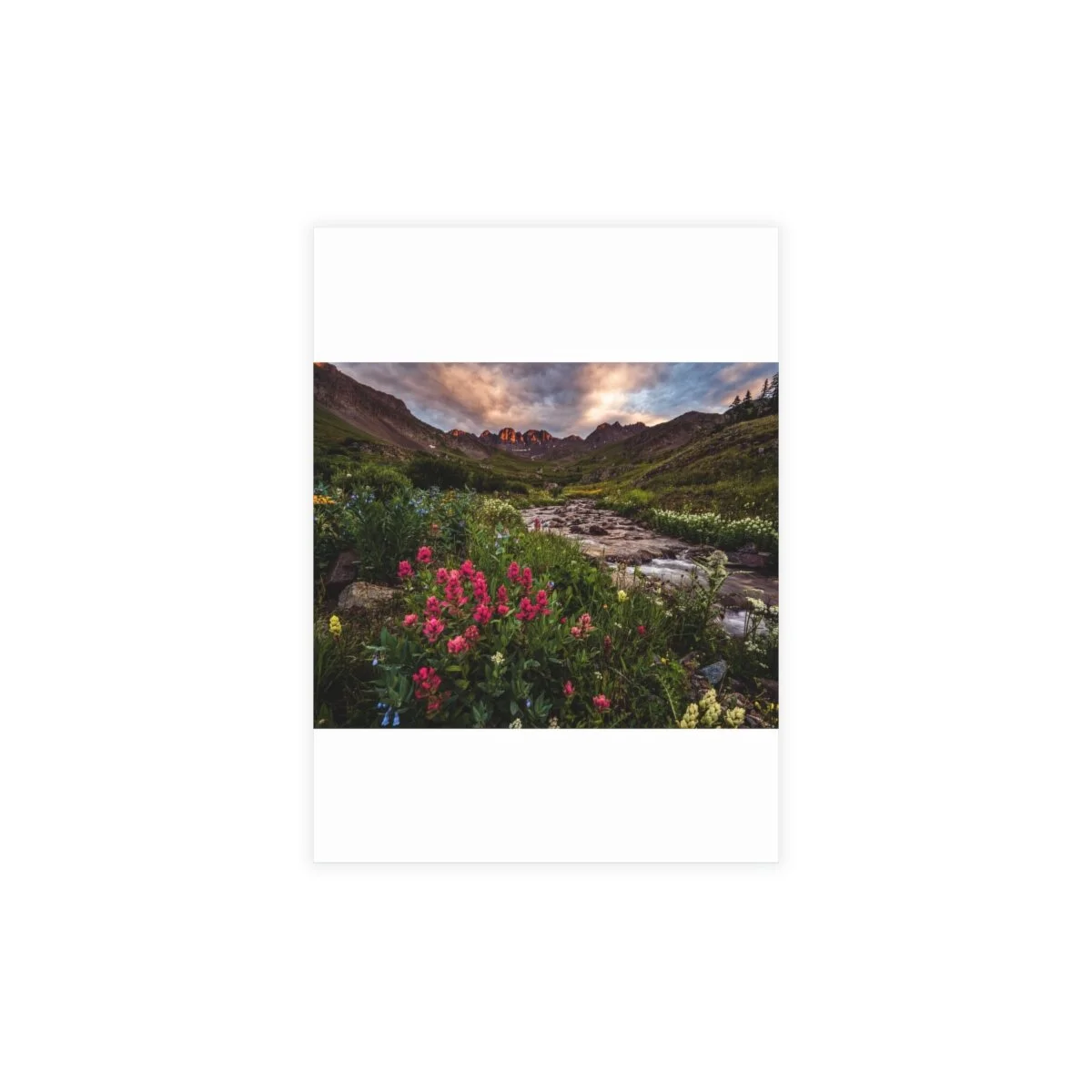 dd8524cdccc5e716d3f413d5e0d5a3f4