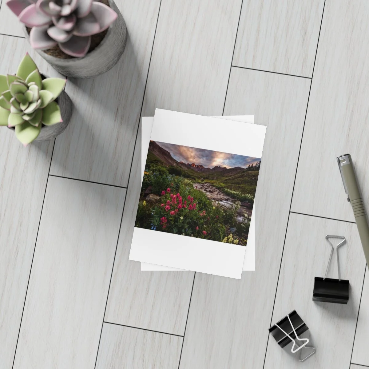 c2e1c046d3bdfcbe450d2447907d59e1