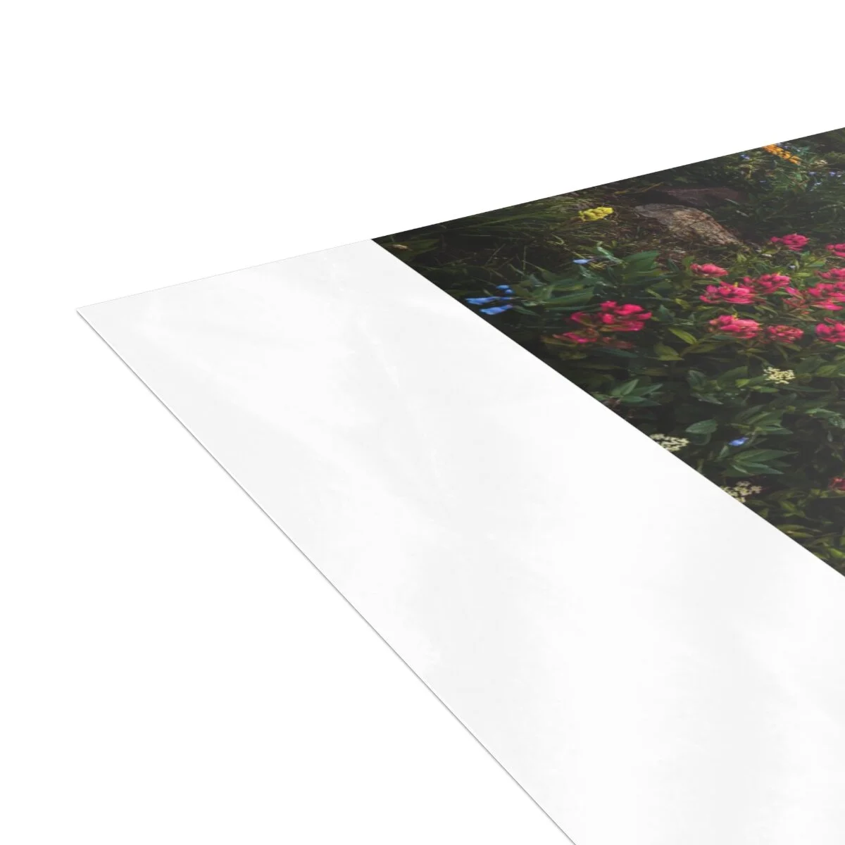 250025462cd11cdb269934e06b236f67