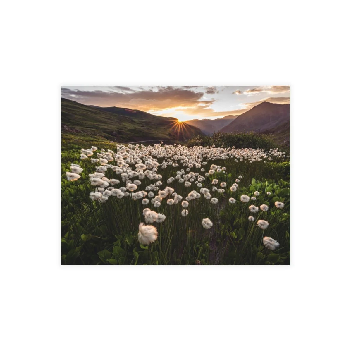 bedcb7f8b41780b22941296ad6fc868f