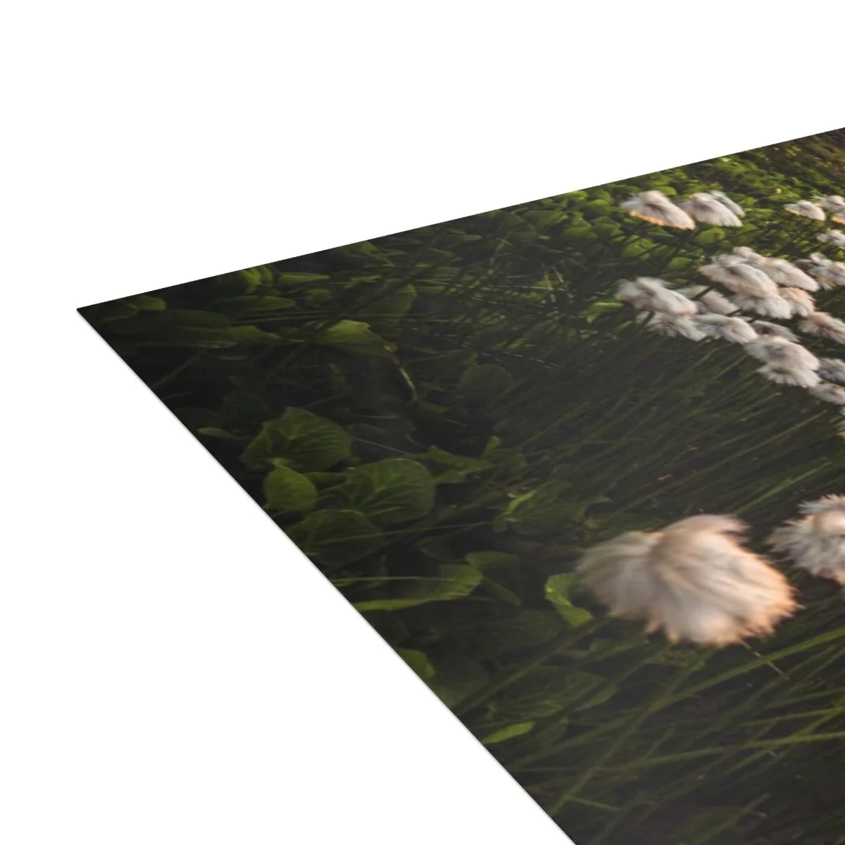 3041a3d48f5c46a8f90ce54611bf41d2