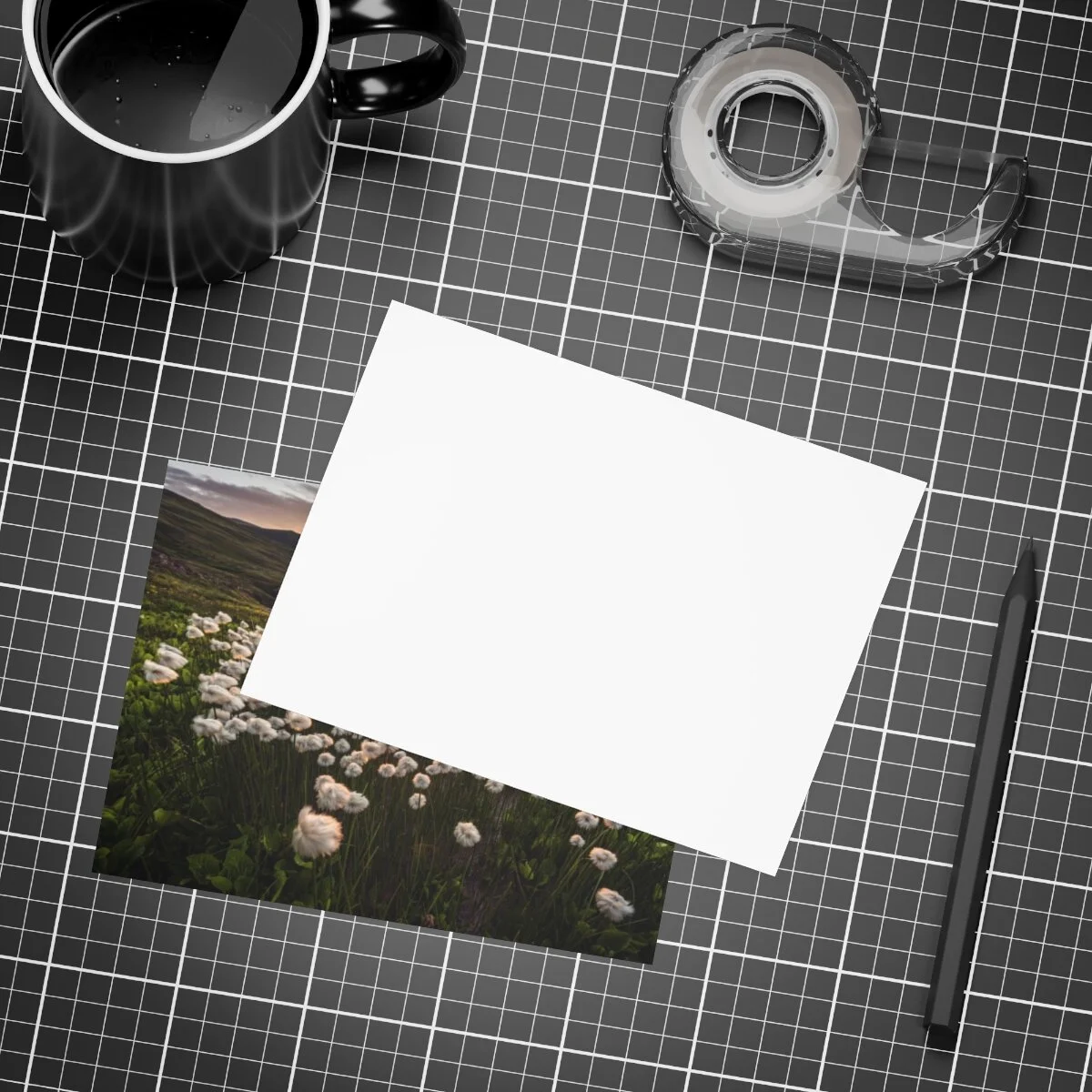 44709c5017c297f52252163149e2726d