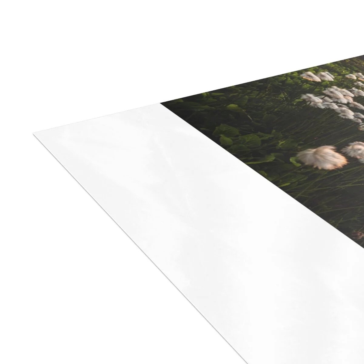 6809b0ffca0786623c3df702c6476bbd