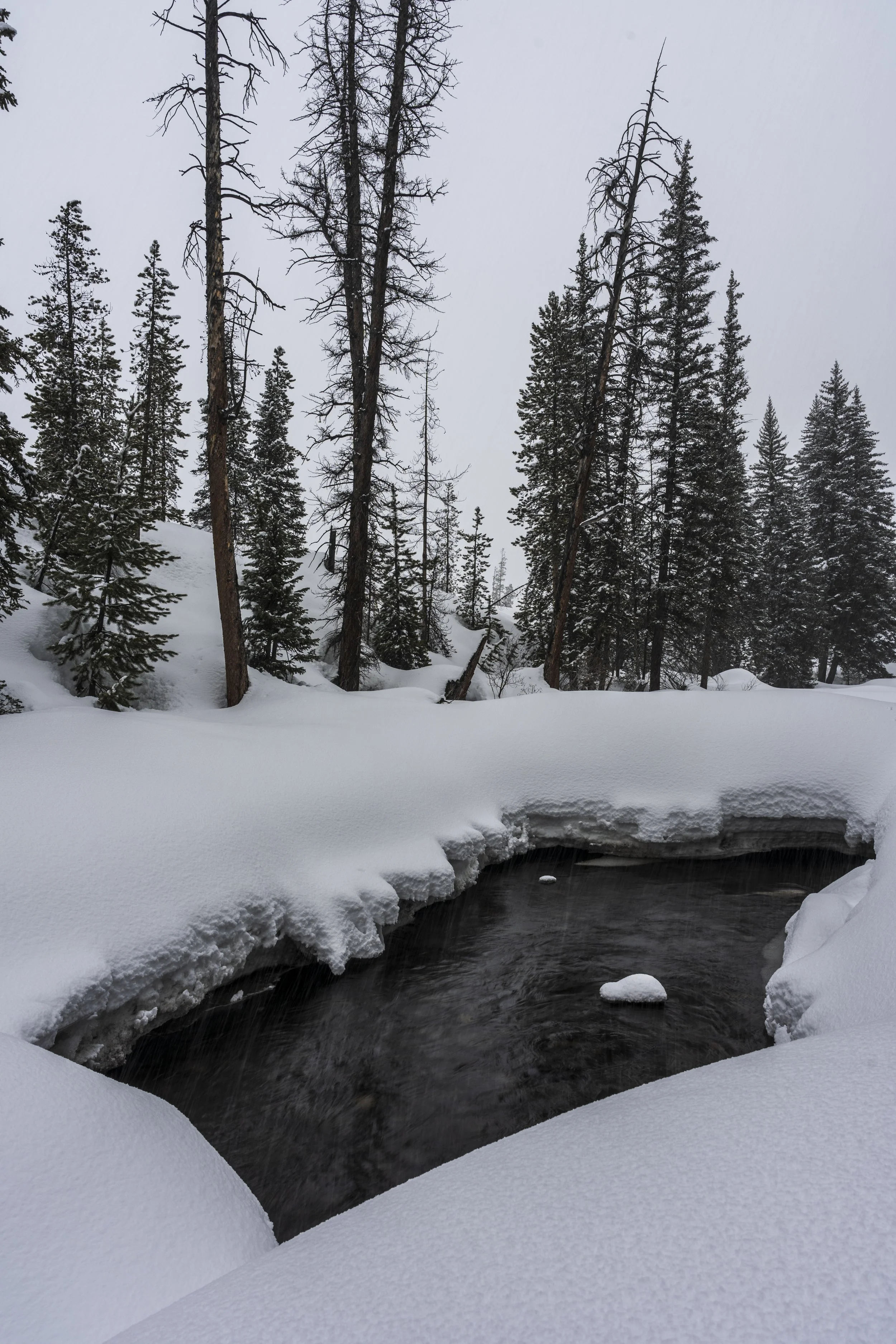 Anatomy of a Composition - what lies beneath