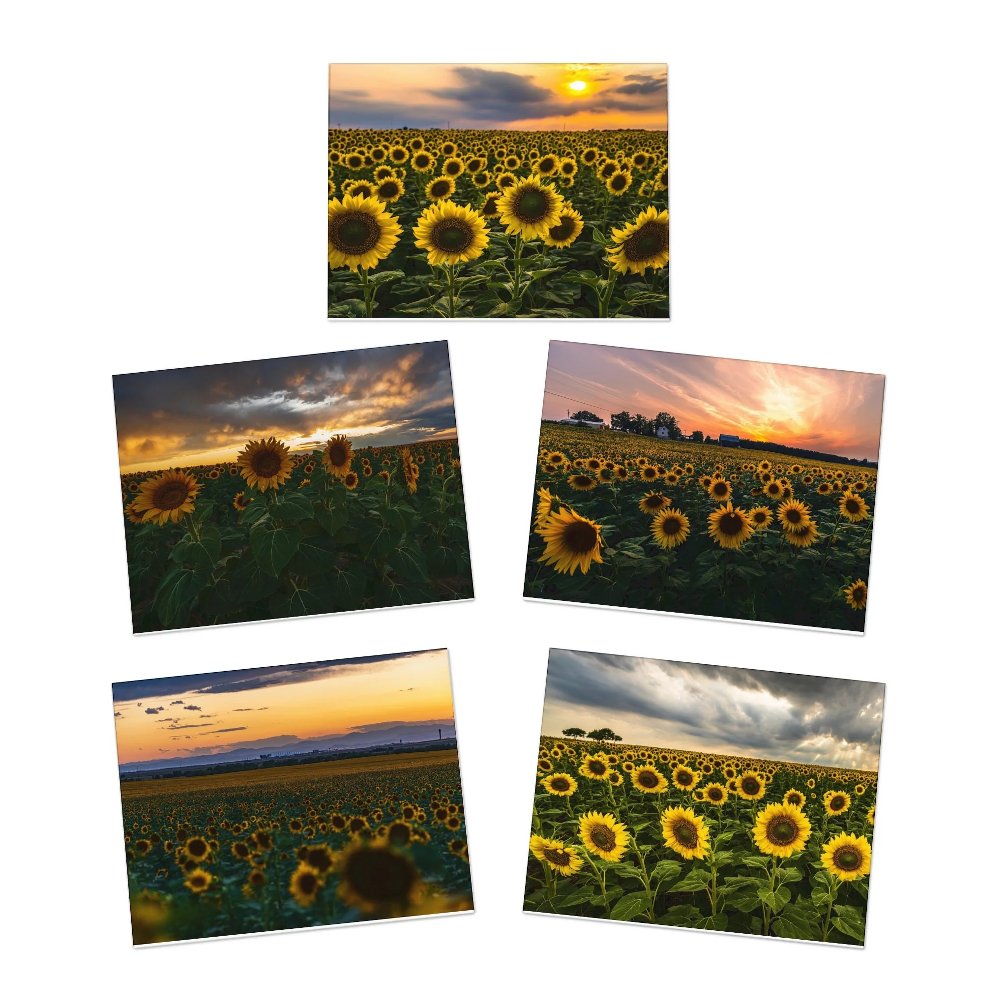 3a53a20a0022c2473d722203f52e465a