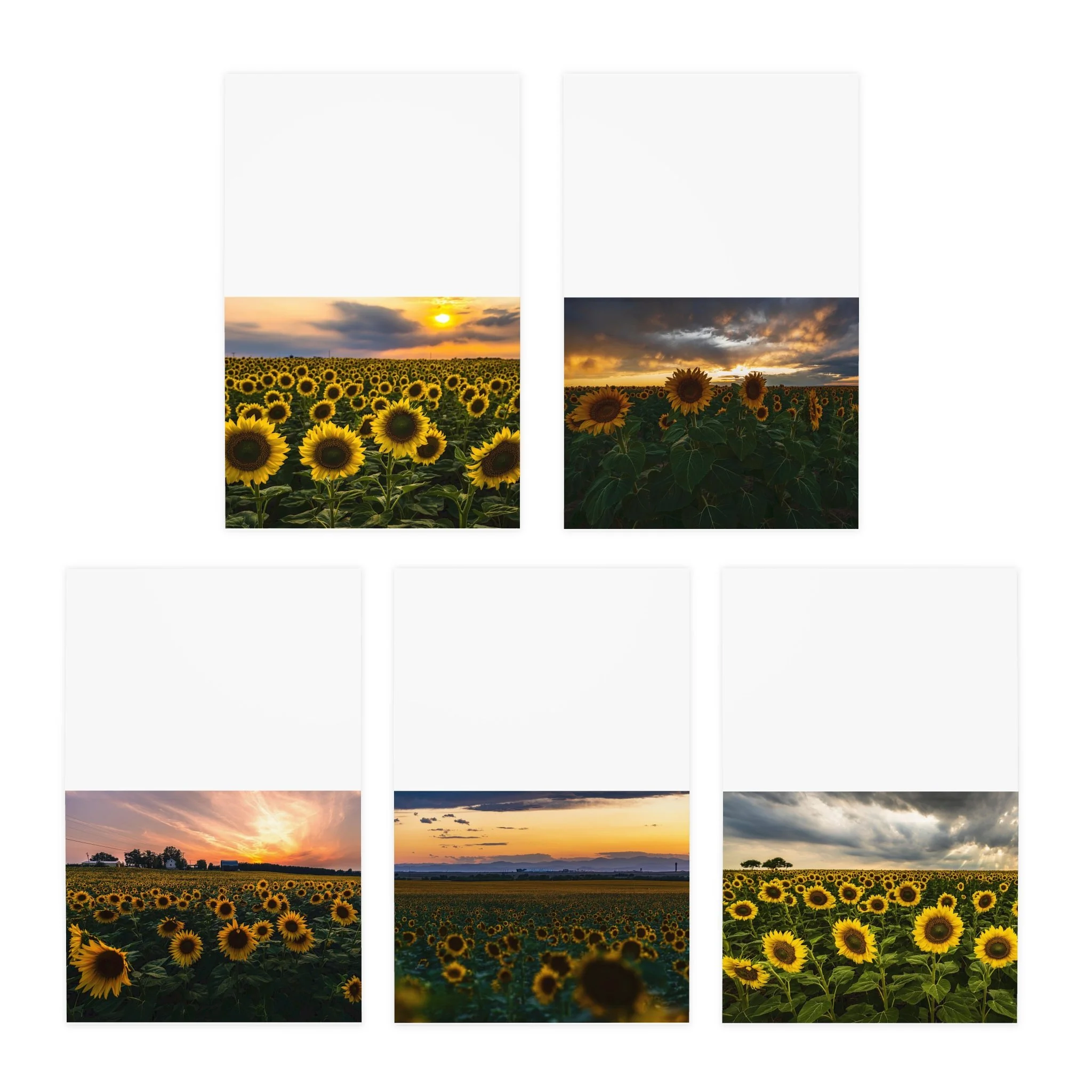 af274da57adeedd8fd59be3cadb54176