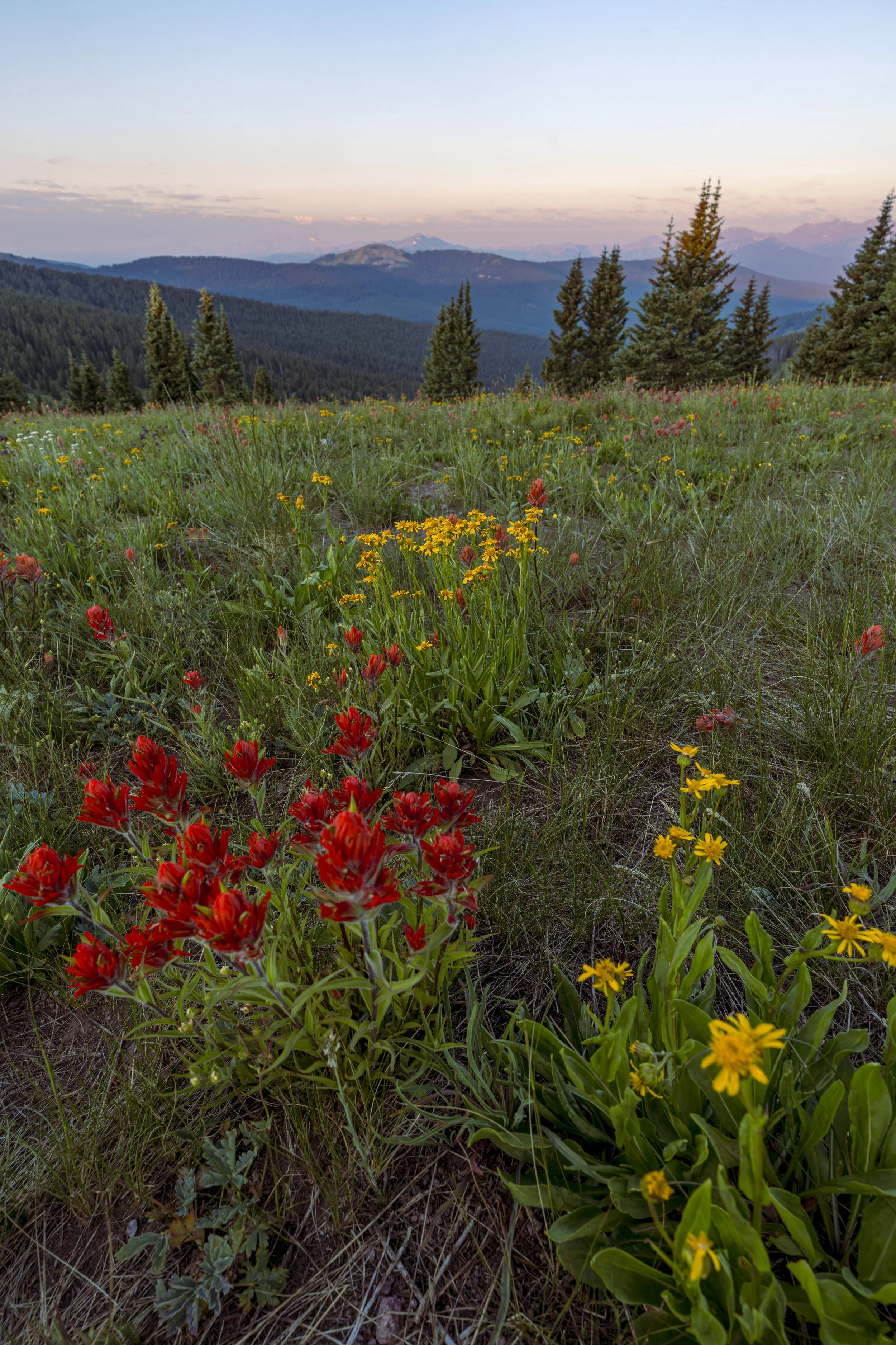 Shrine Ridge - July, 2025
