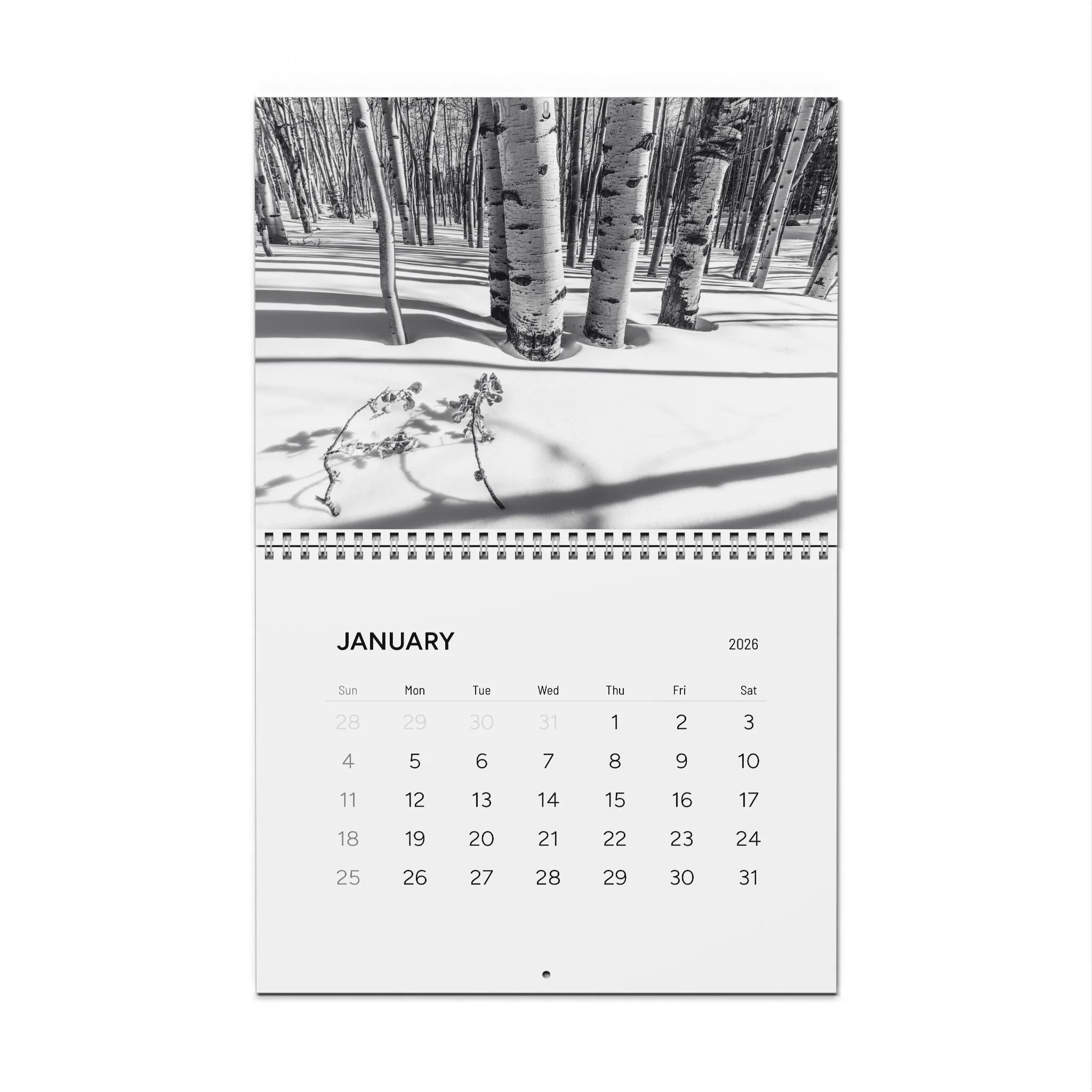 d48f7786dbb64c3f2acb8f20daa7a3a7