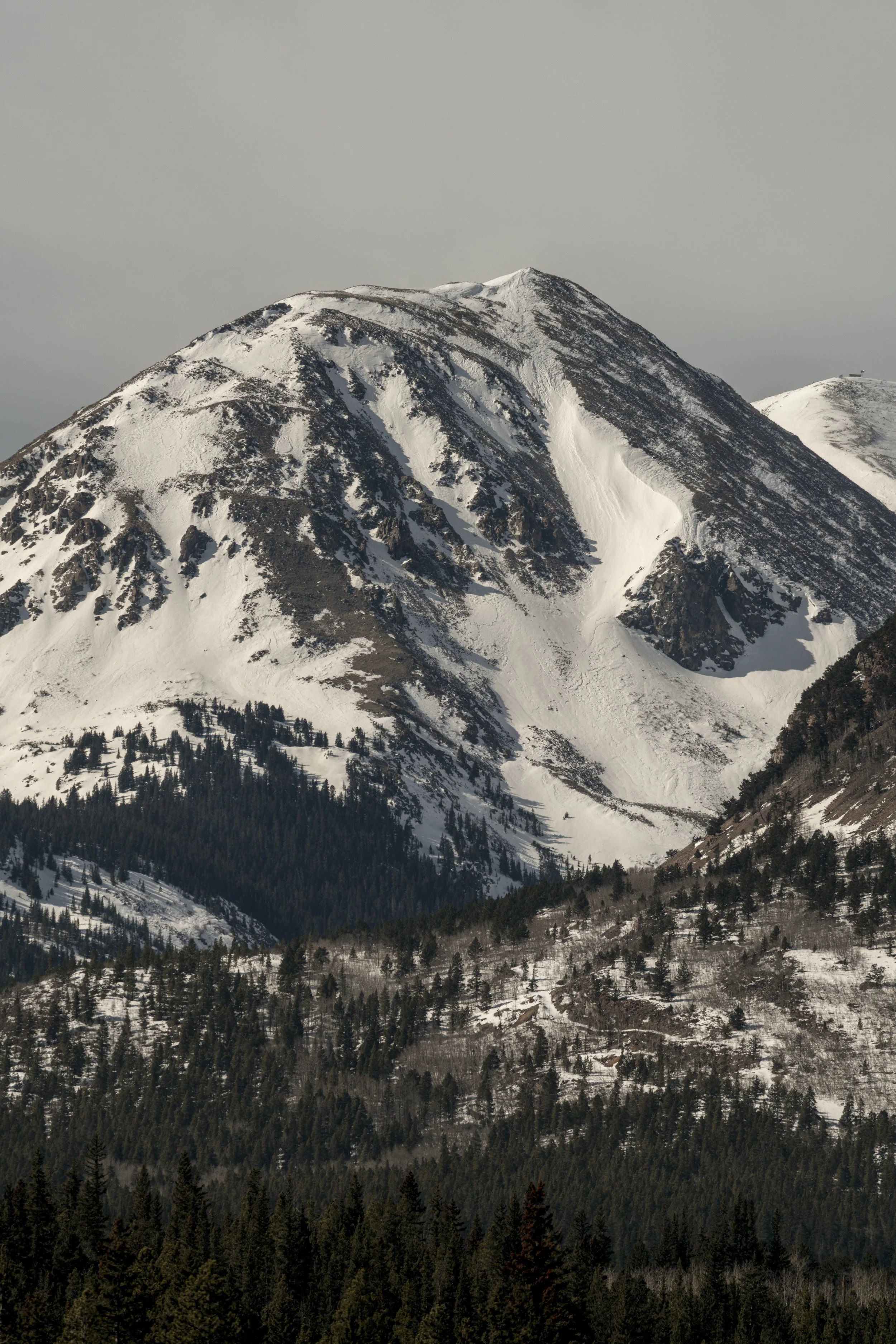 _DSC1560.jpg