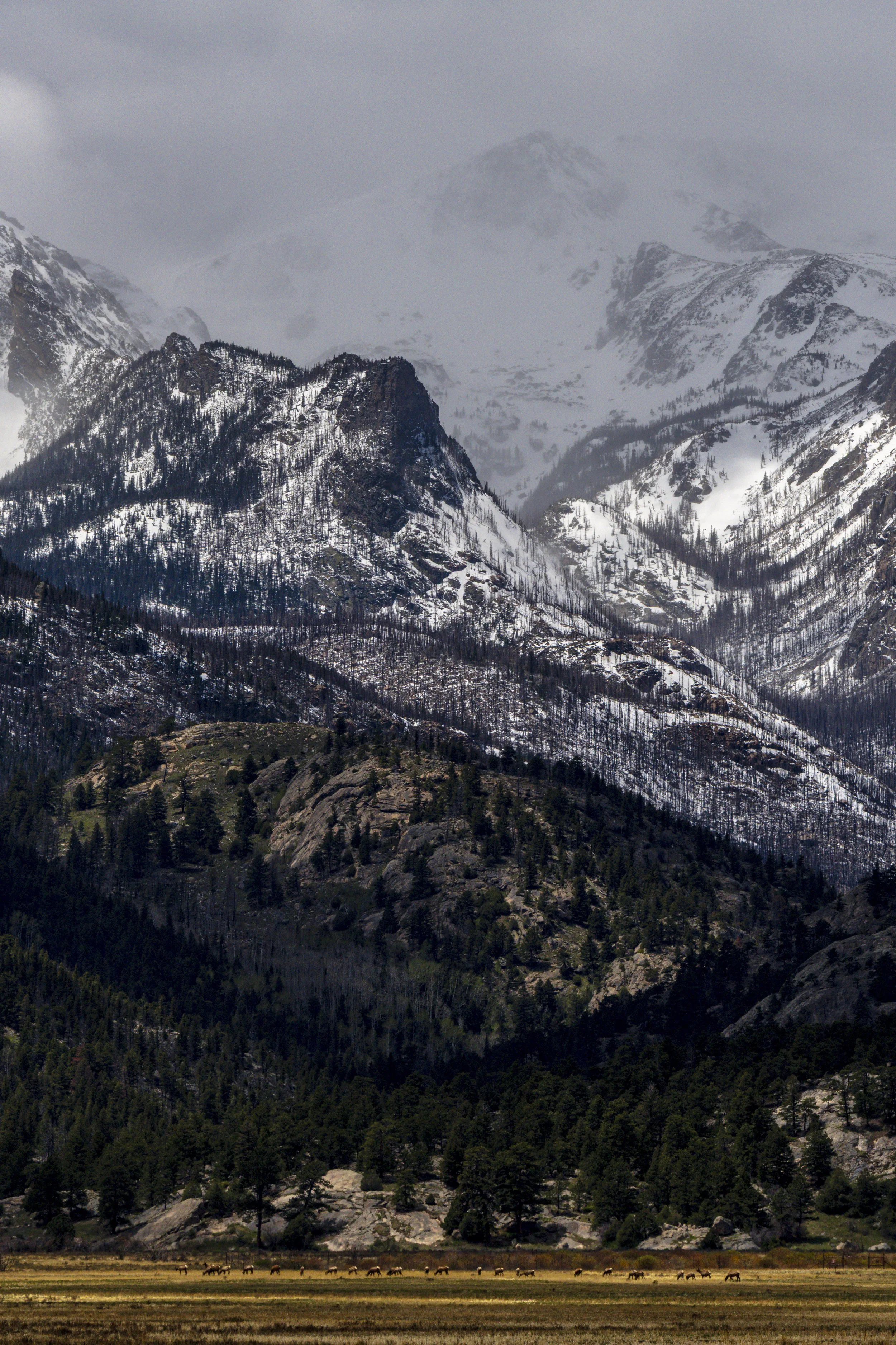 _DSC8375.jpg