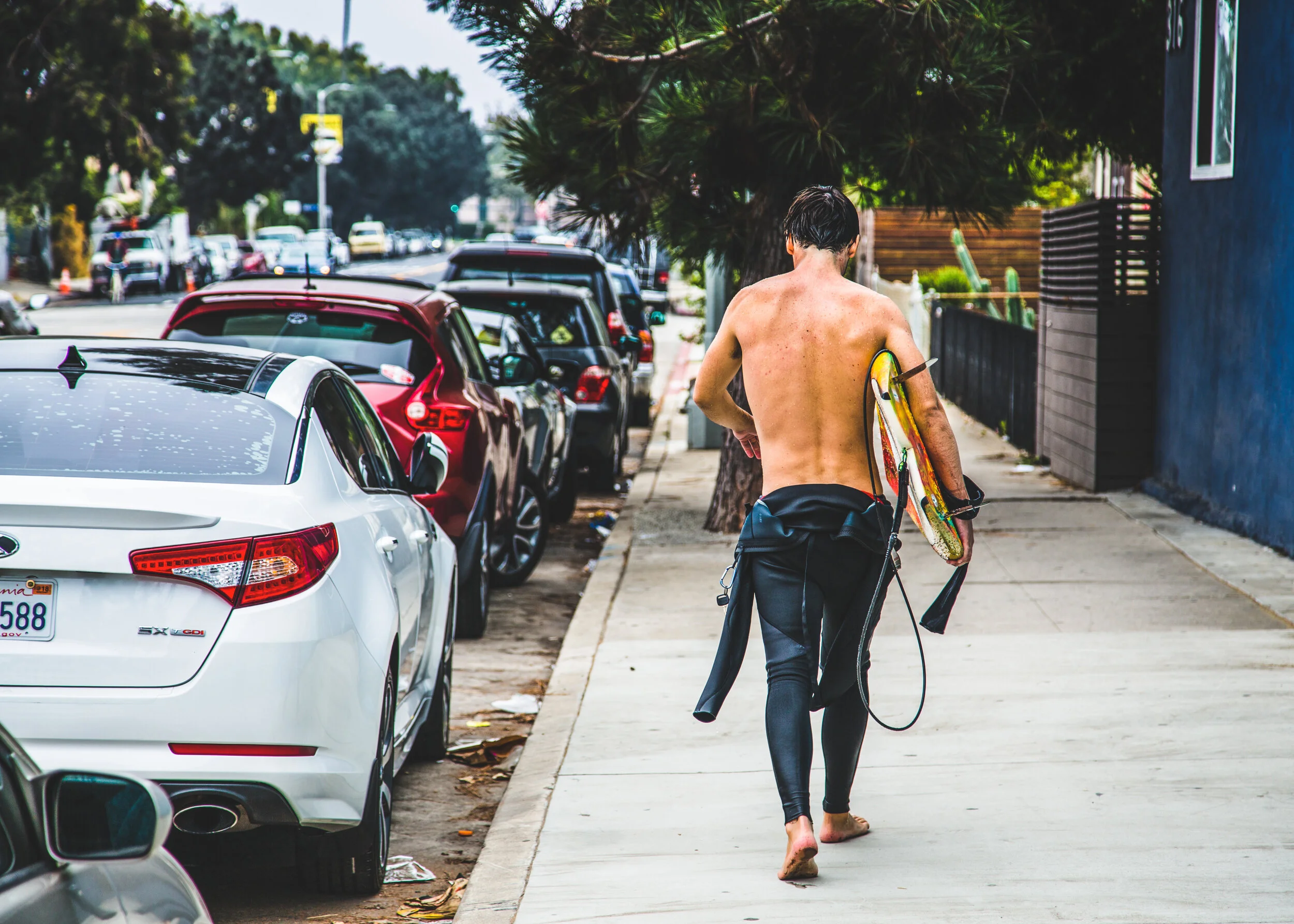 surfvenice.jpg