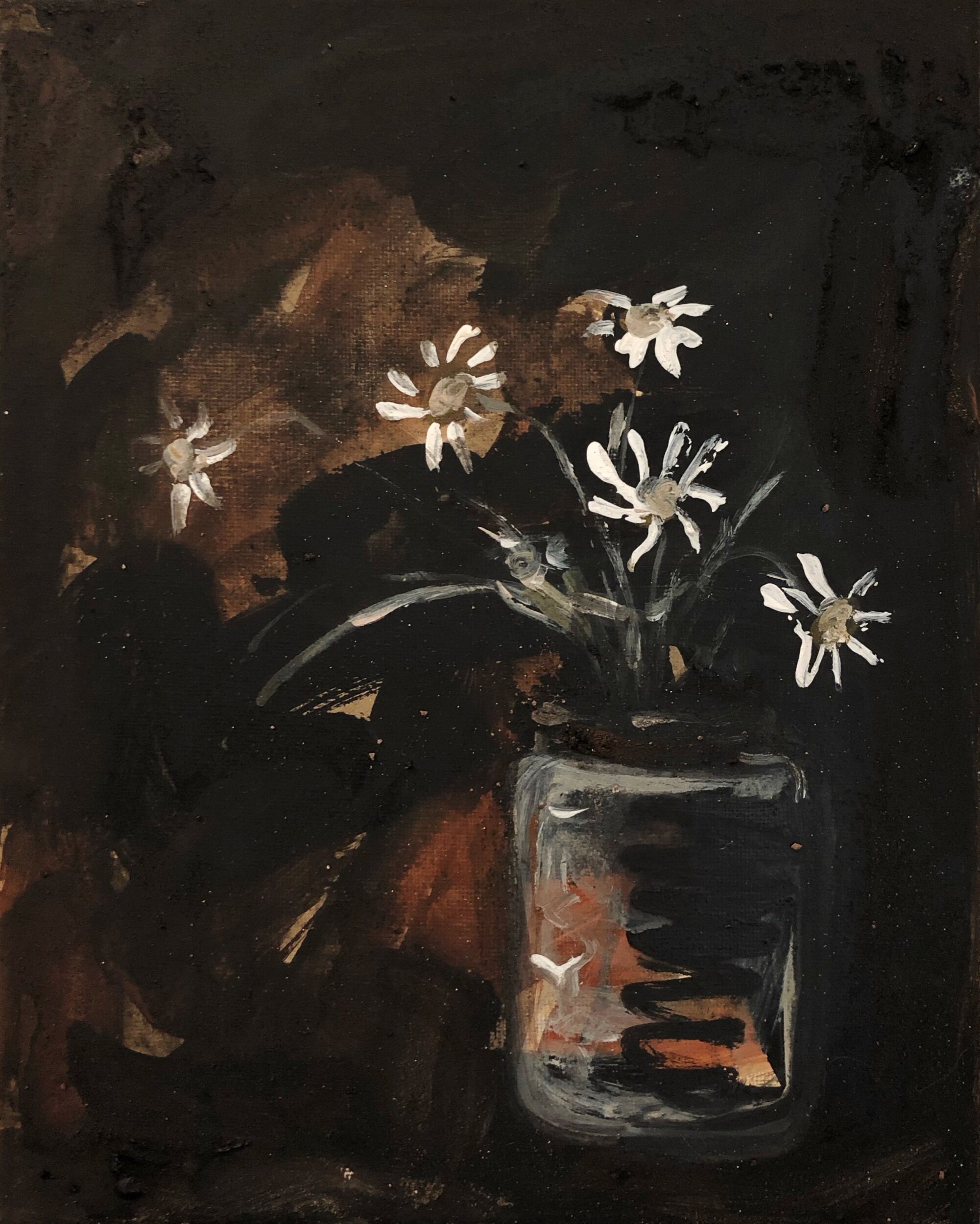 Flannel flowers