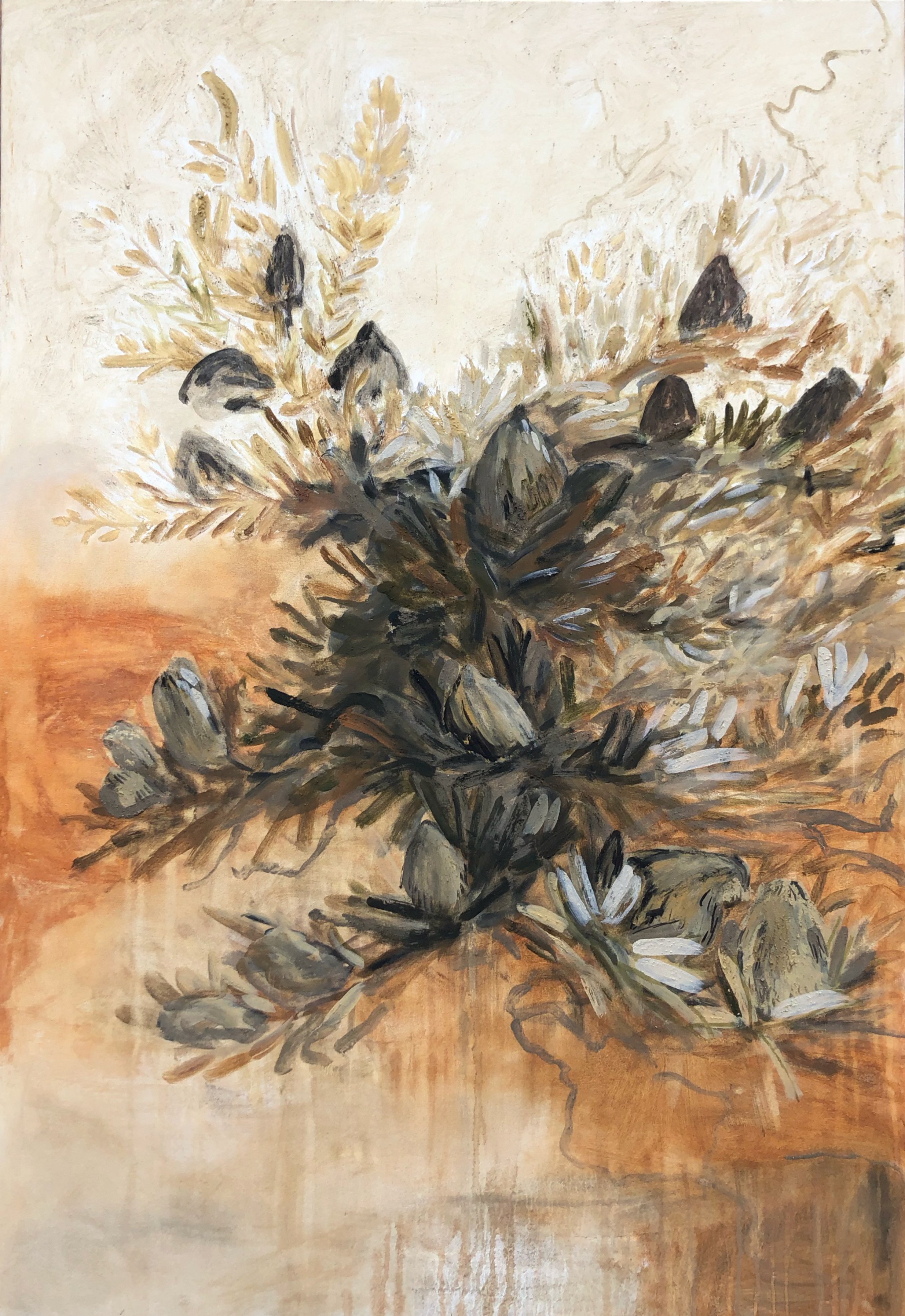 'Banksia at Red Bluff'