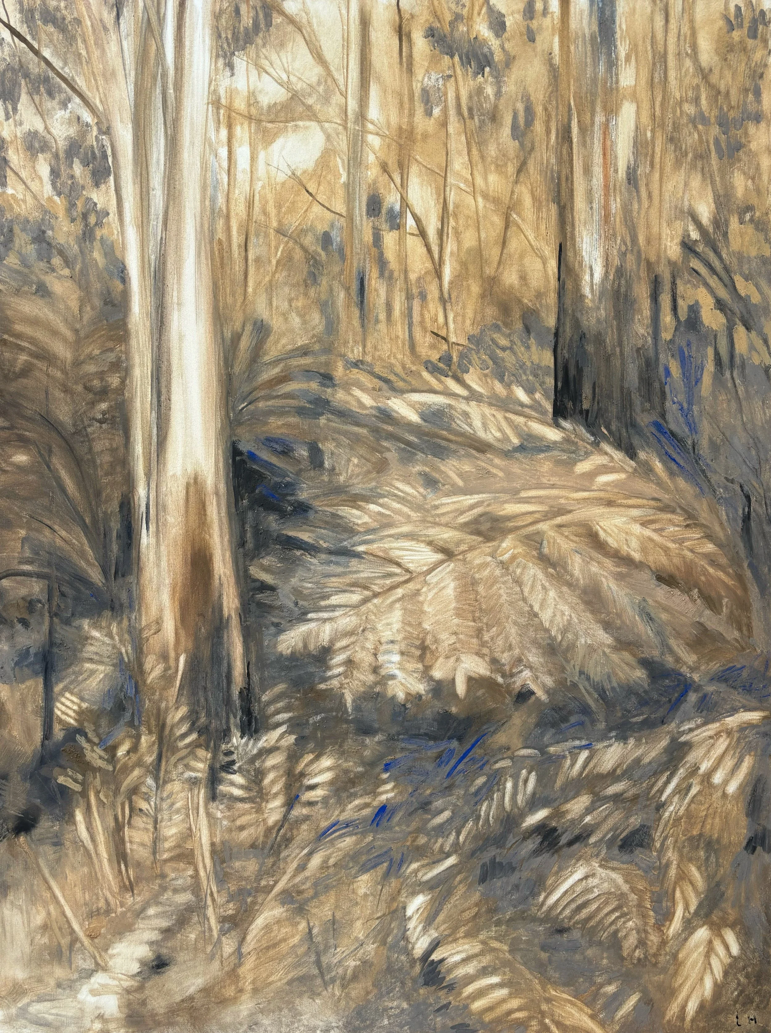 "There could be lyrebirds here" 2025 120x90cm