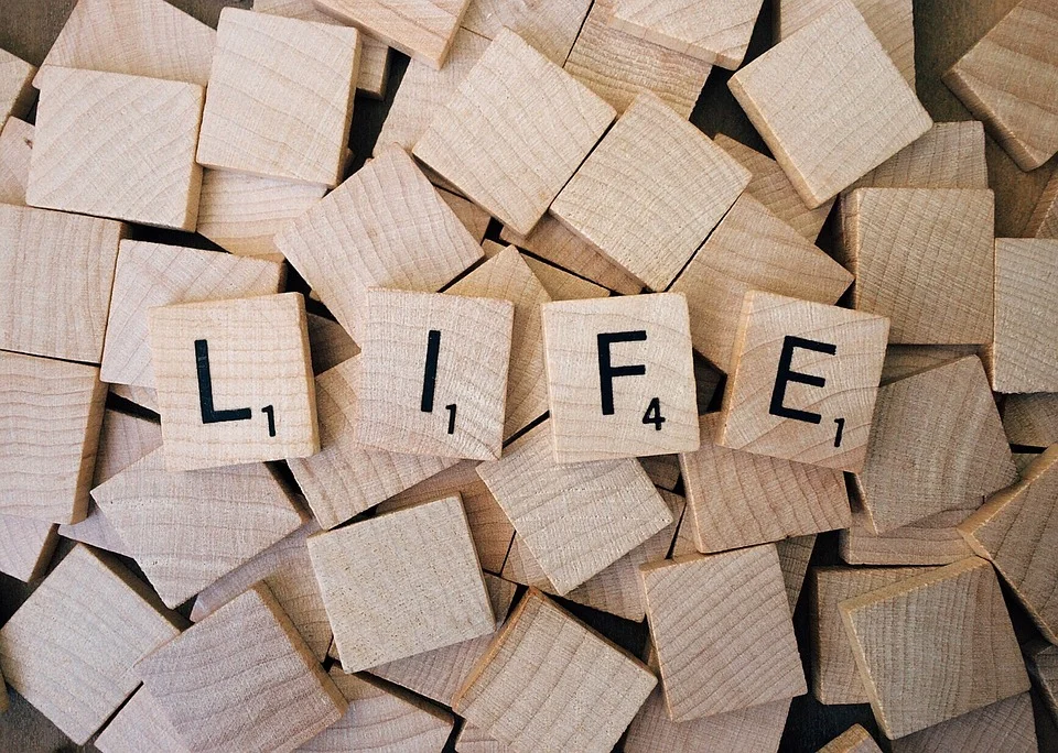 life.jpg
