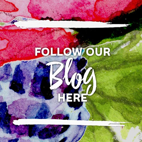 Follow Our Blog Here