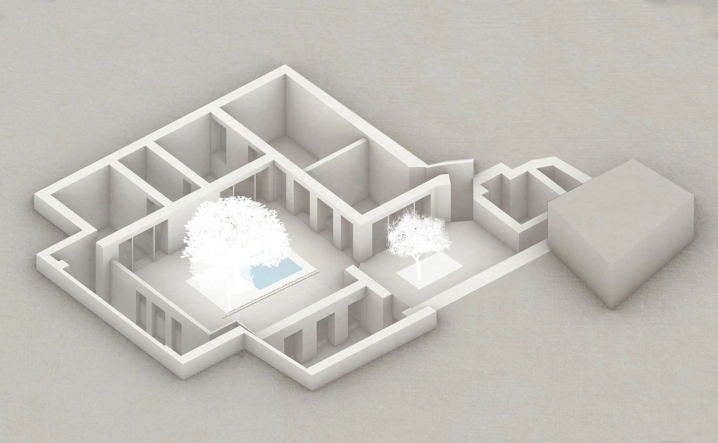 1st level axon yard.jpg