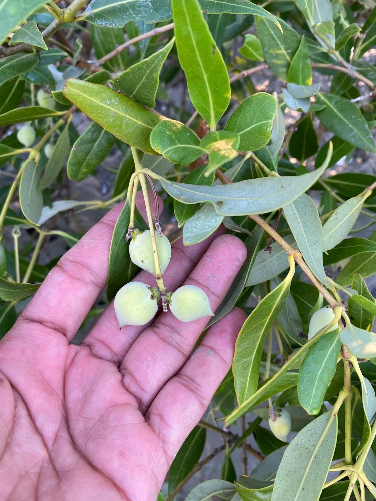 WhatsApp Image 2022-08-04 at 10.02.37 AM (1).jpeg