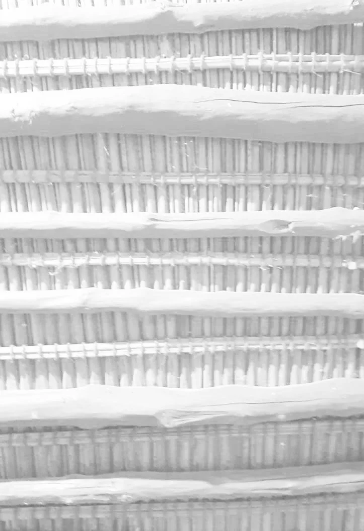 Ceilingn Detailing.jpg