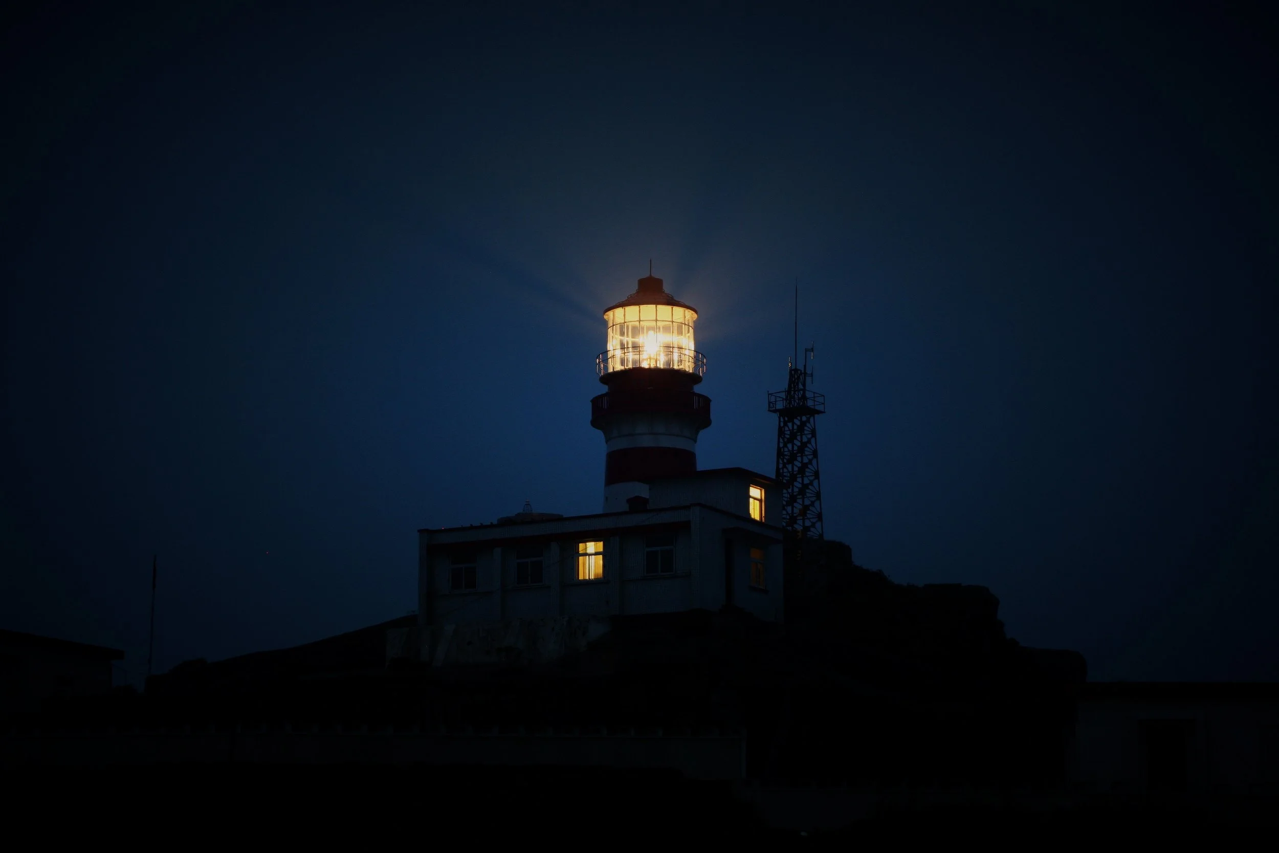 Shine The Light