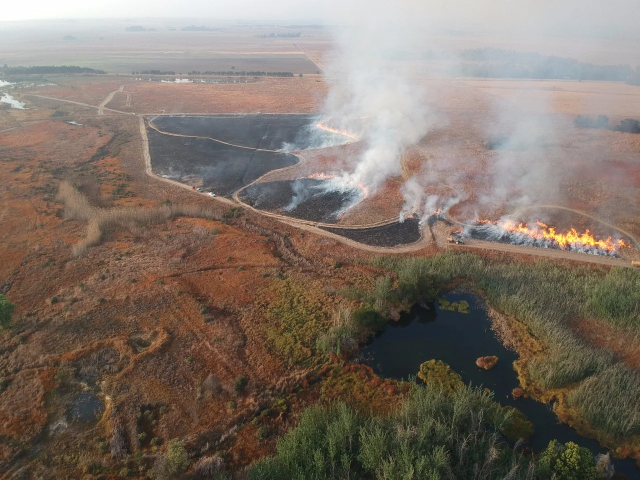 Preparing the Ground