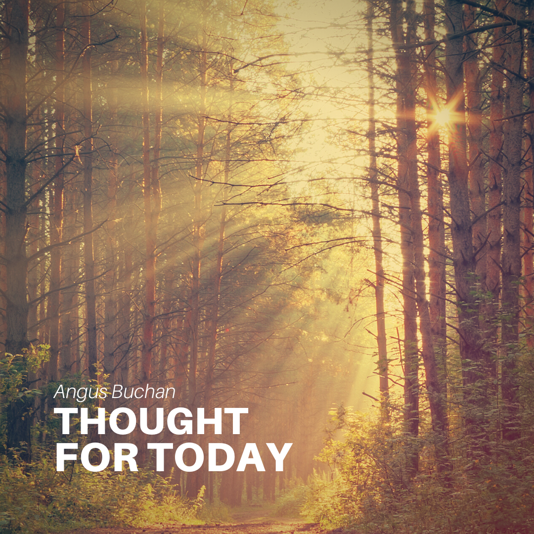Stuck in a Rut?