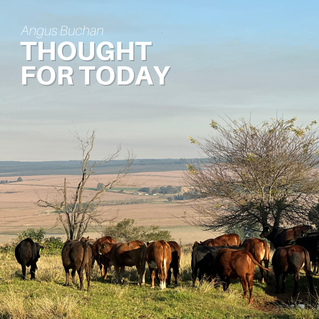 Settle Your Differences