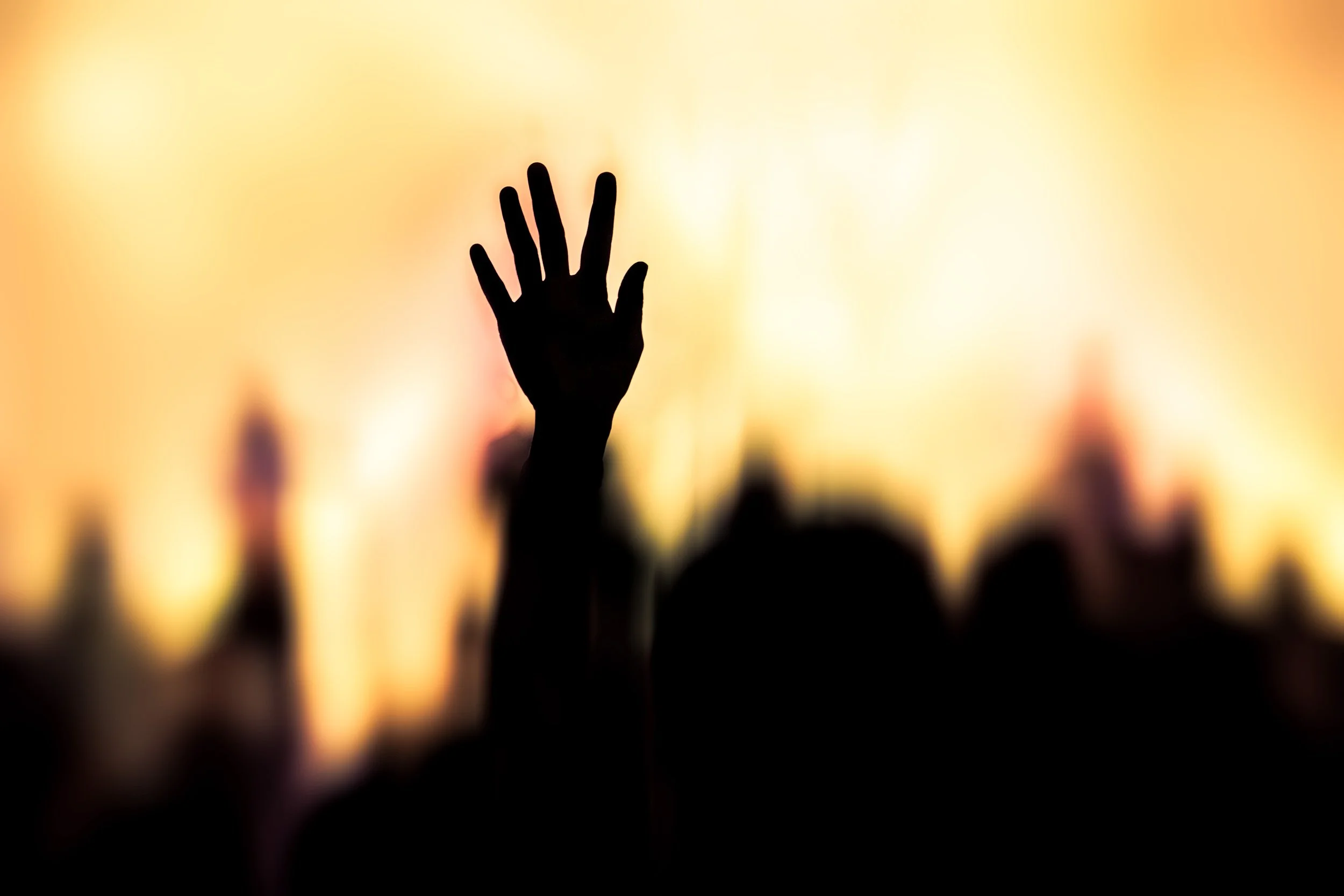 Seeking the Kingdom First