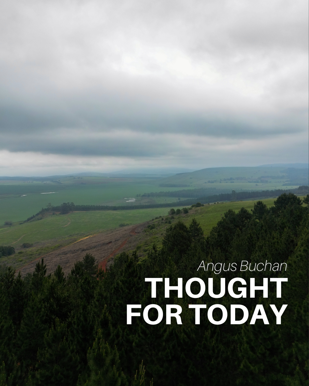 A Year of Great Harvest