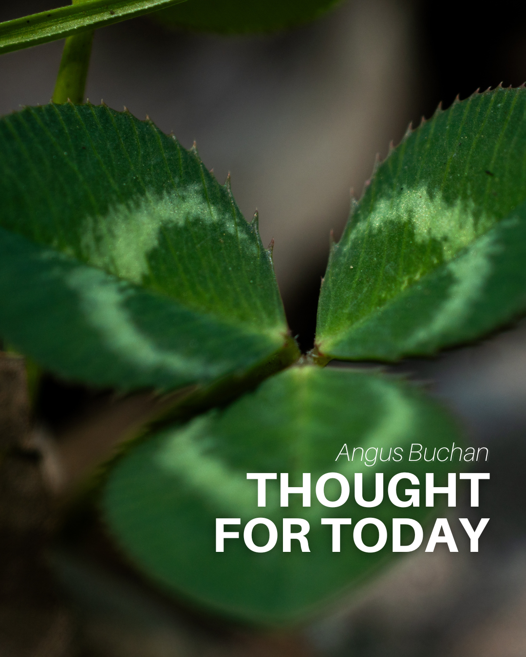 Keep Walking Forward